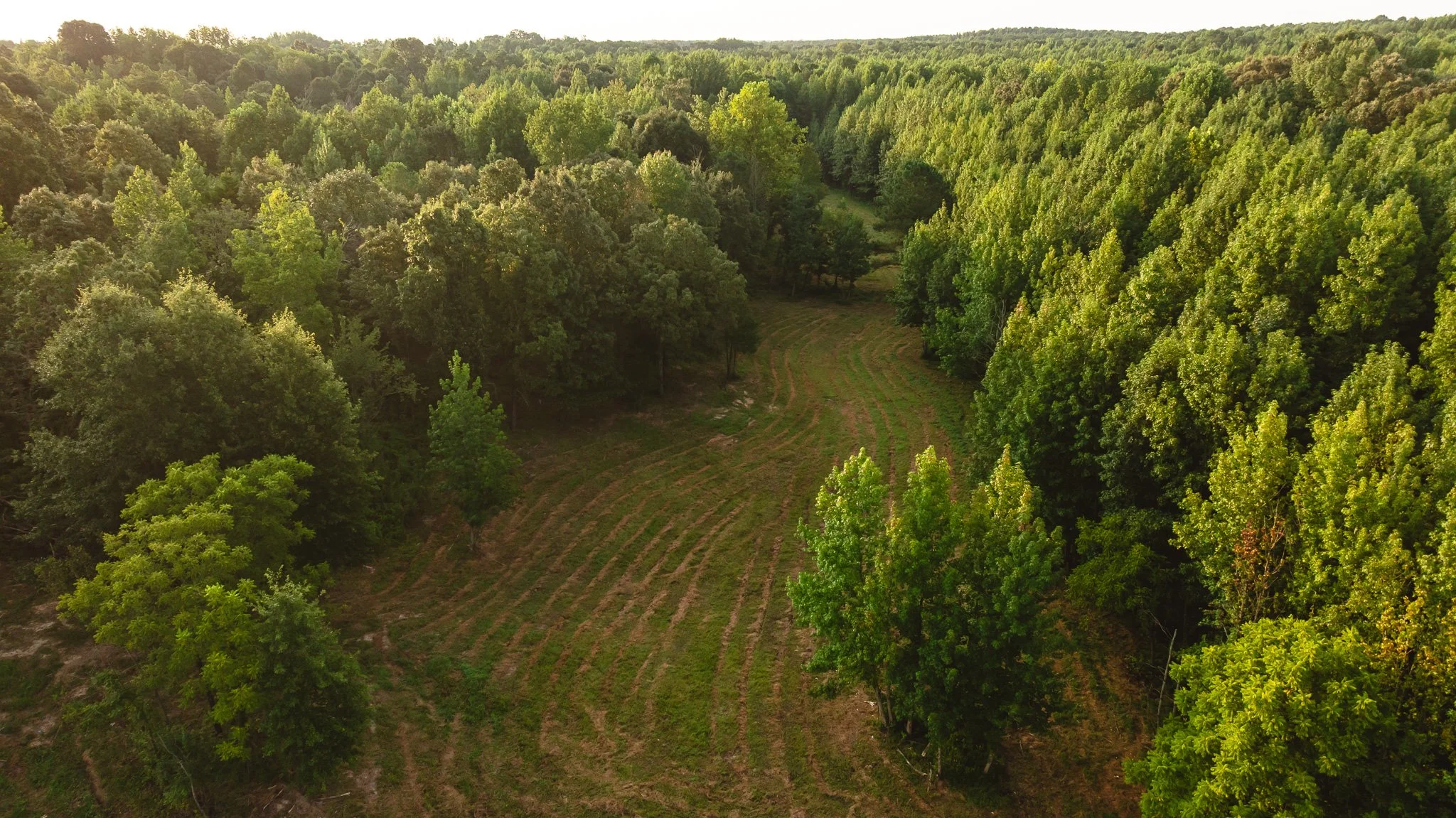 DJI_20260812142926_0132_D.jpg