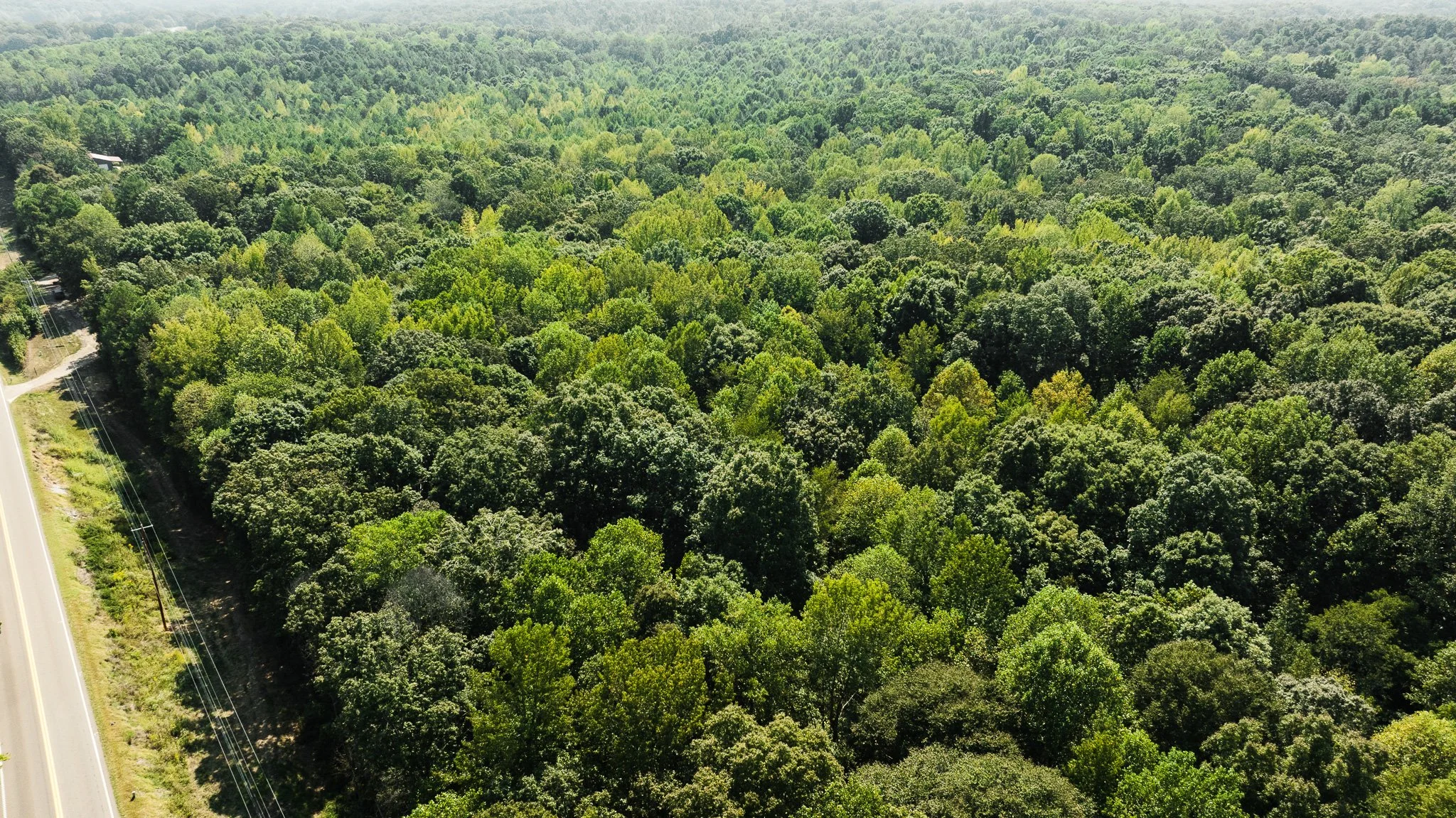 DJI_20250911111942_0040_D.jpg