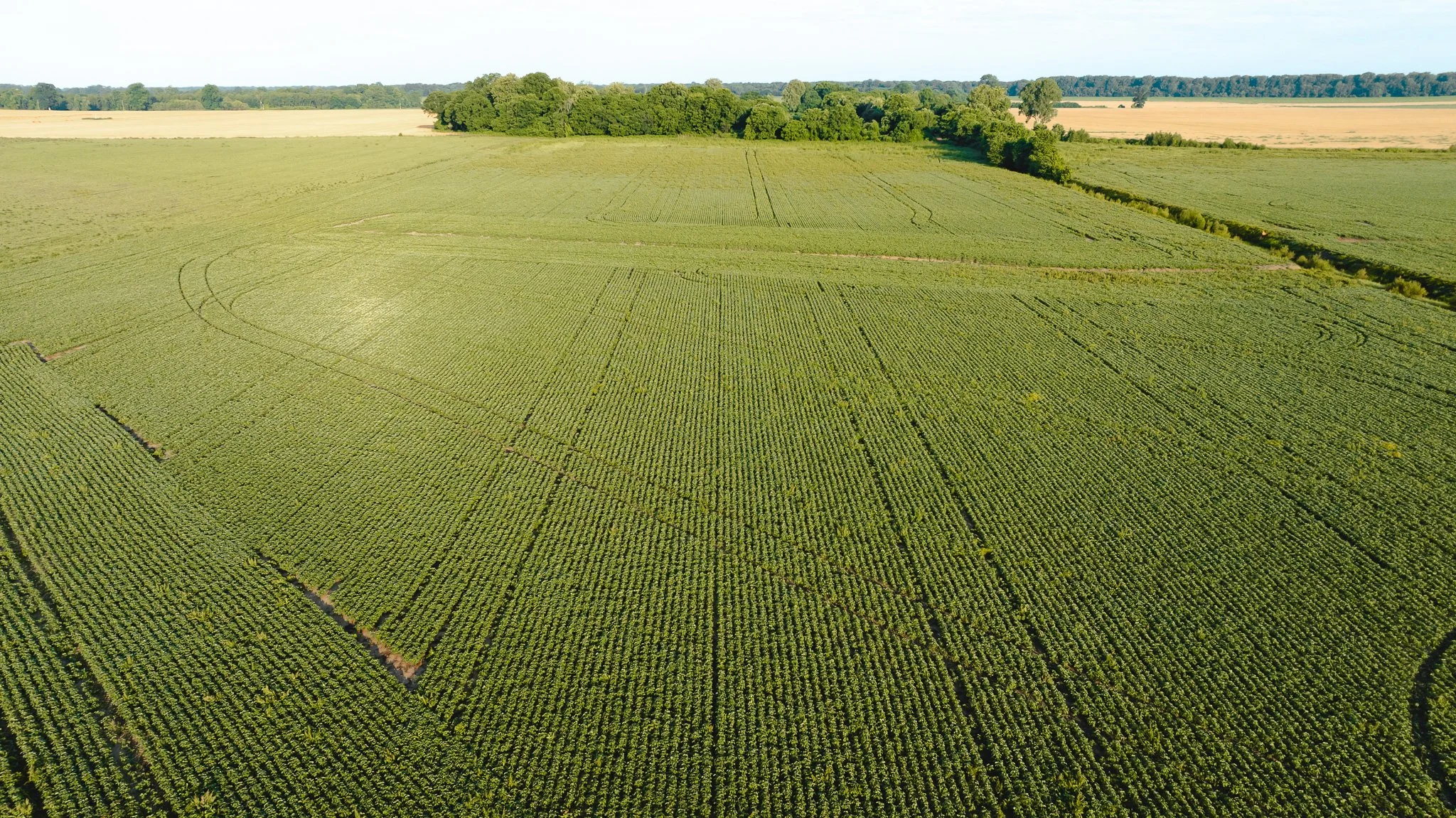 DJI_20260602135800_0033_D.jpg