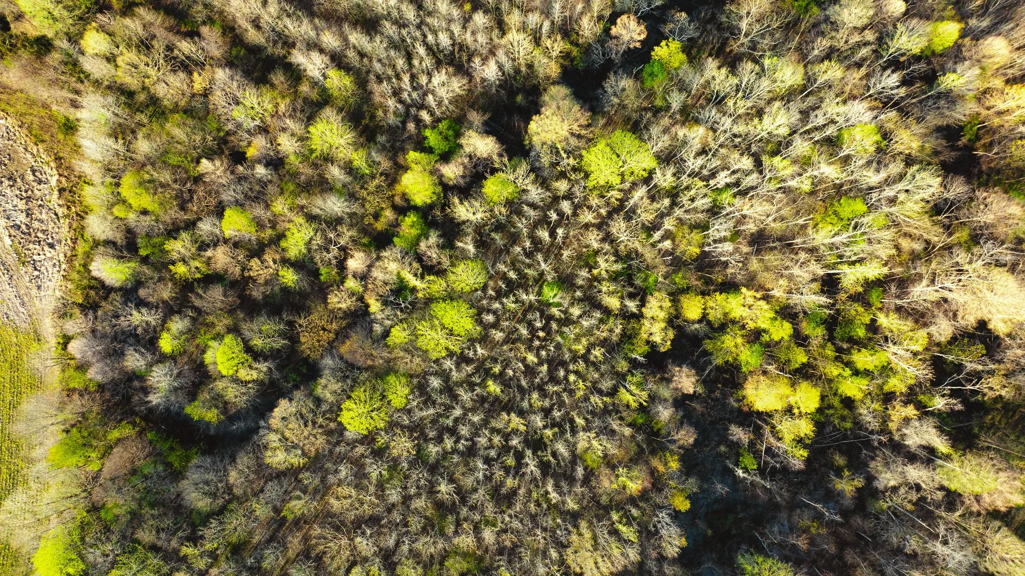 DJI_20260326084008_0009_D.jpg