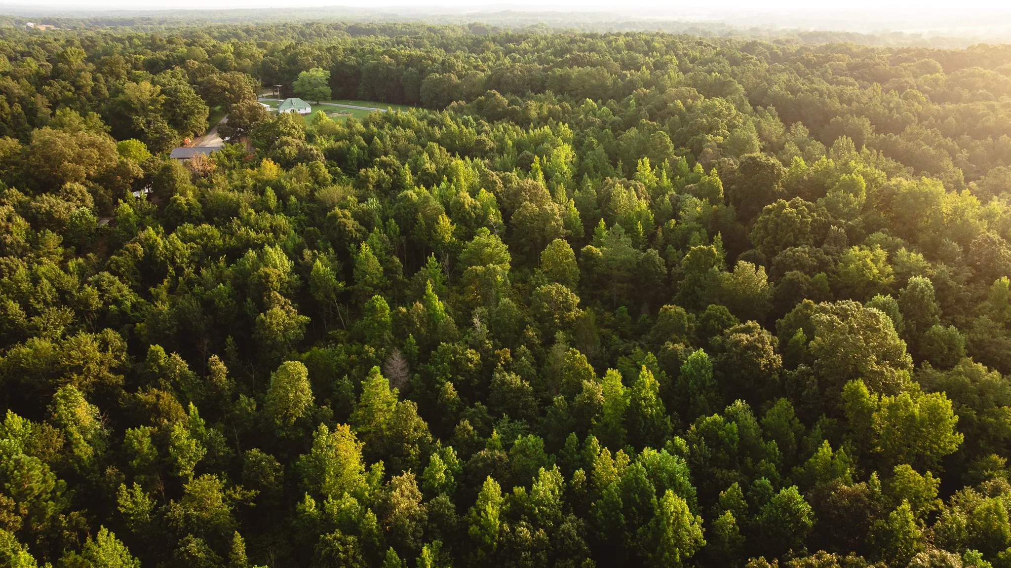 DJI_20260812143657_0151_D.jpg