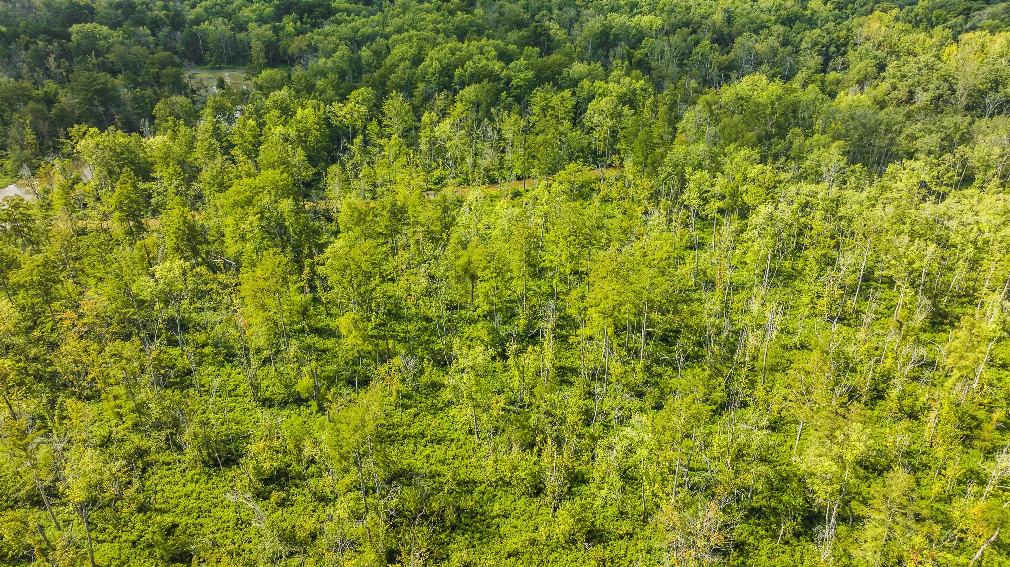 DJI_20250821102433_0101_D.jpg