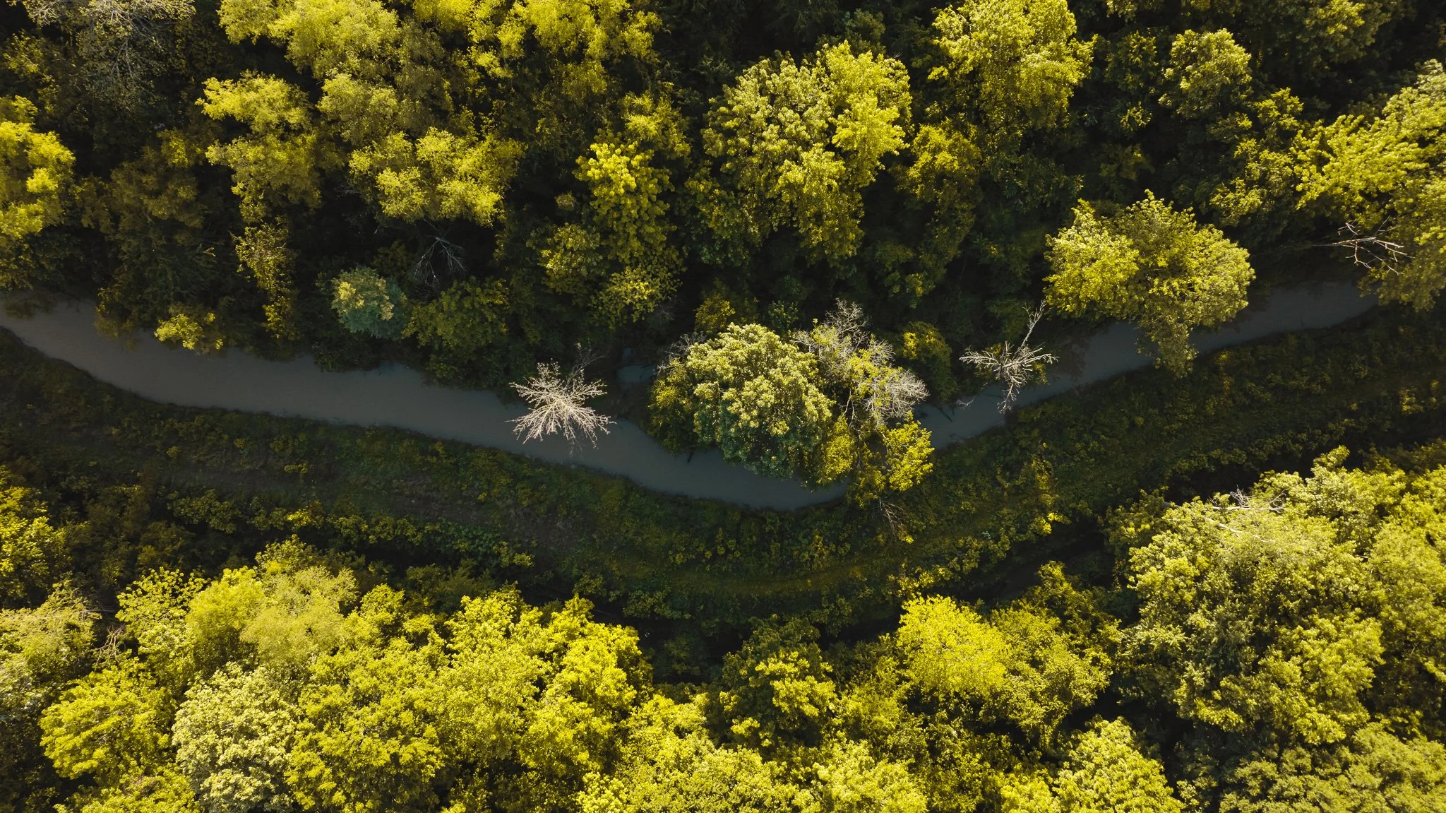 DJI_20260505143352_0055_D.jpg