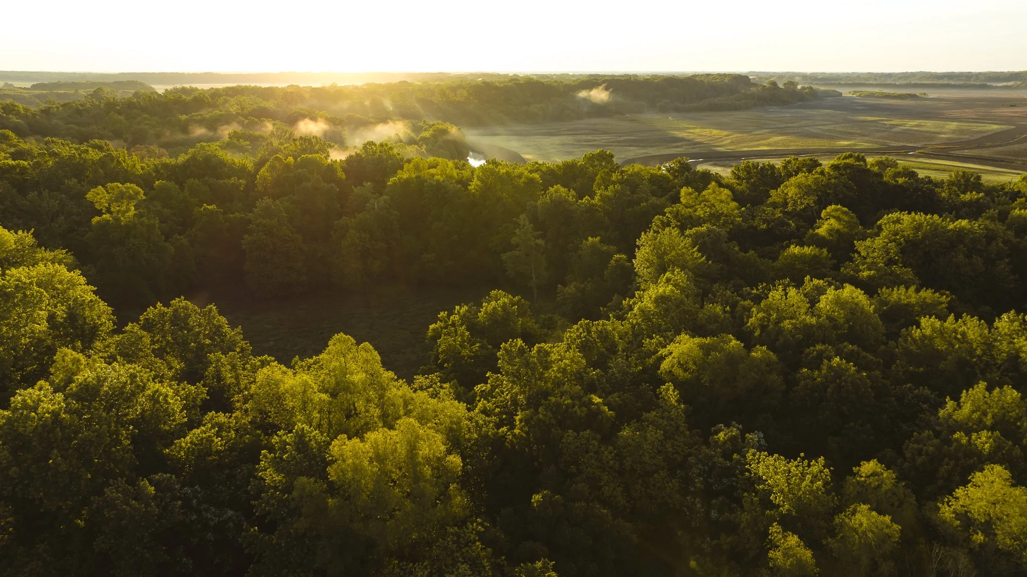 DJI_20260505133756_0033_D.jpg