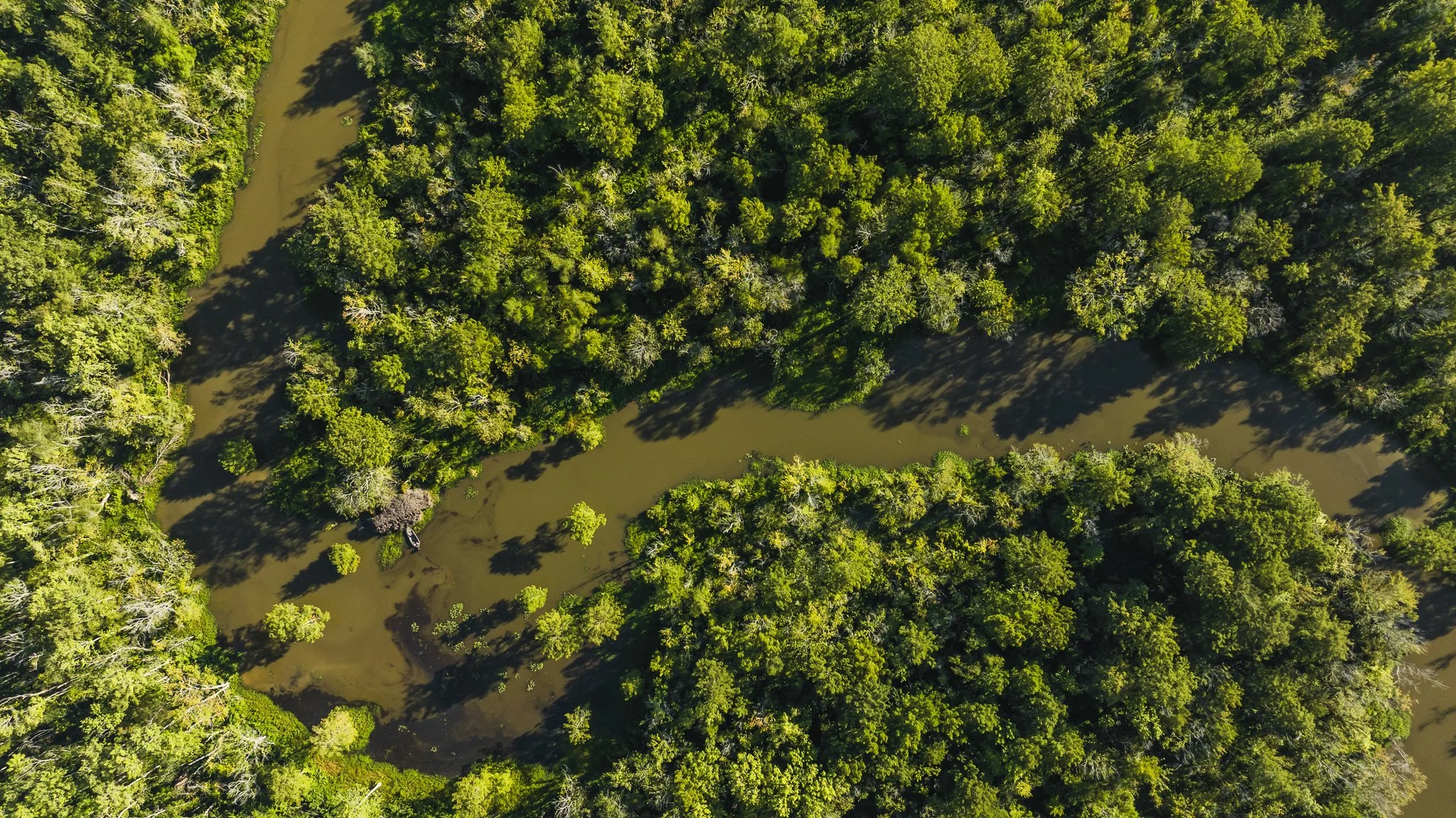 DJI_20250821081609_0004_D.jpg