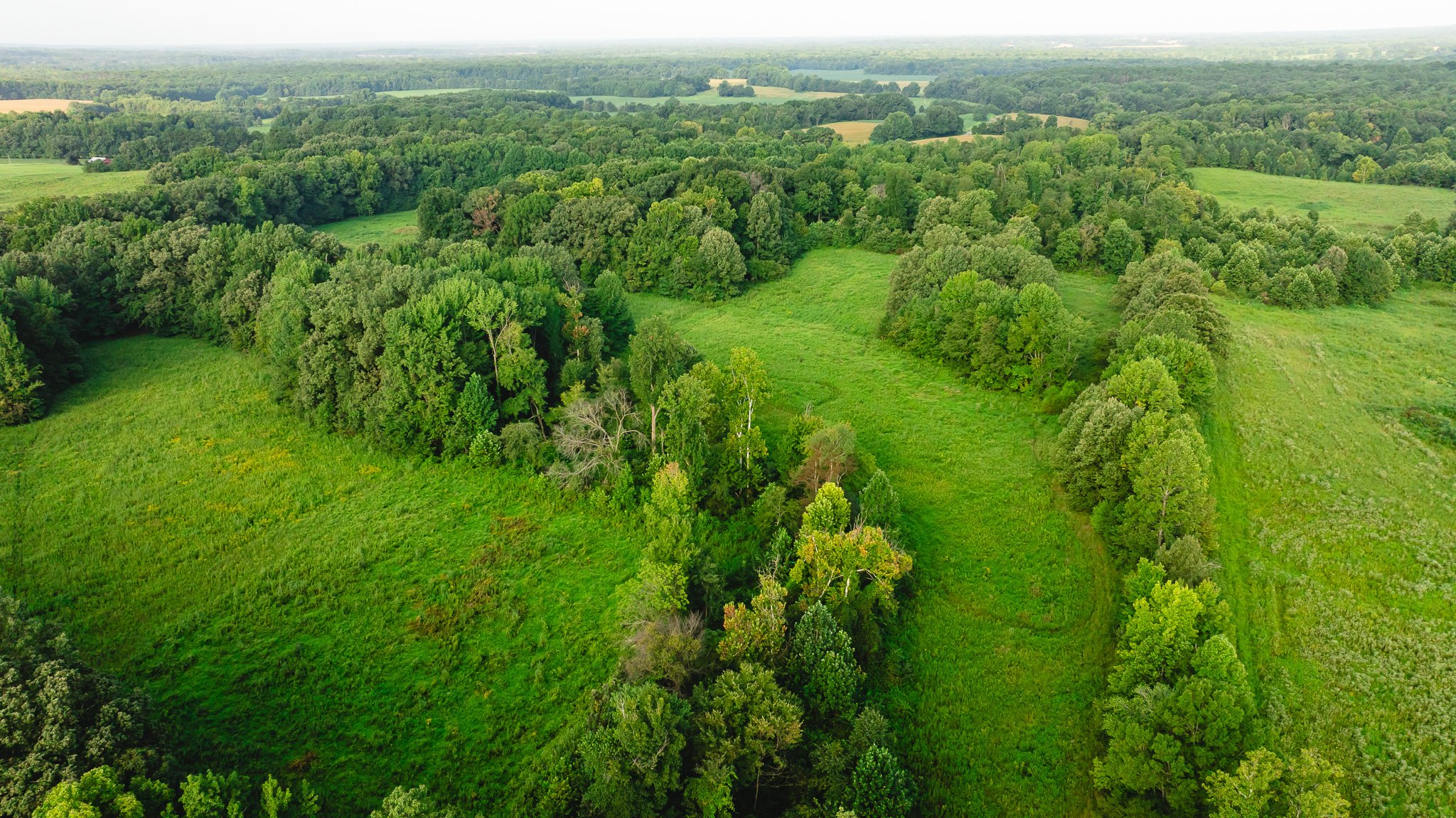 DJI_20260815153500_0009_D.jpg