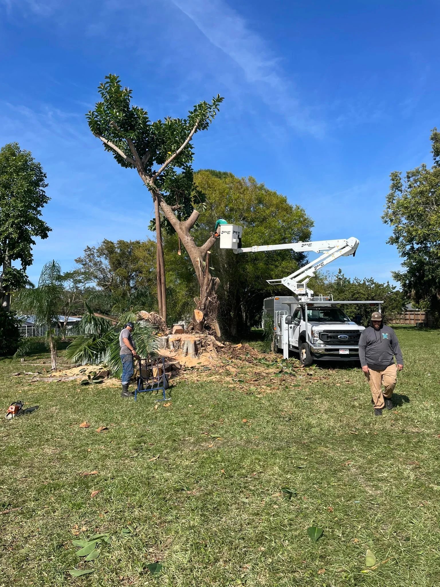 Rubber Removal 2-3.jpg