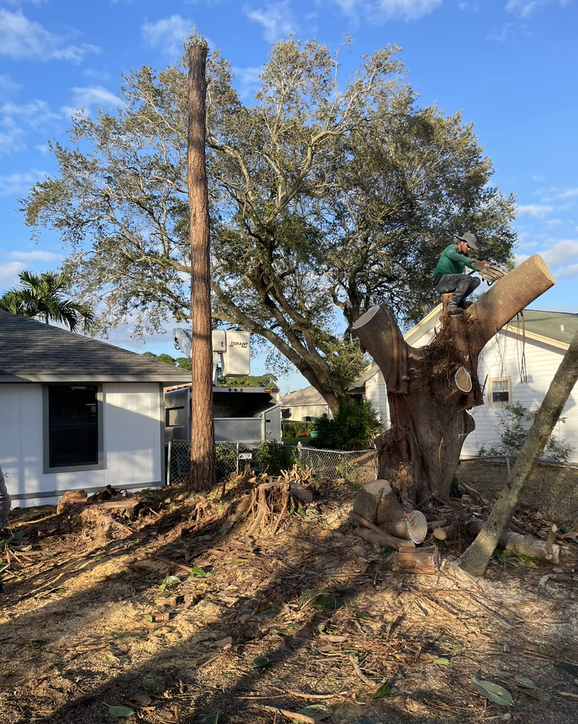 Rubber Removal 1-8.png