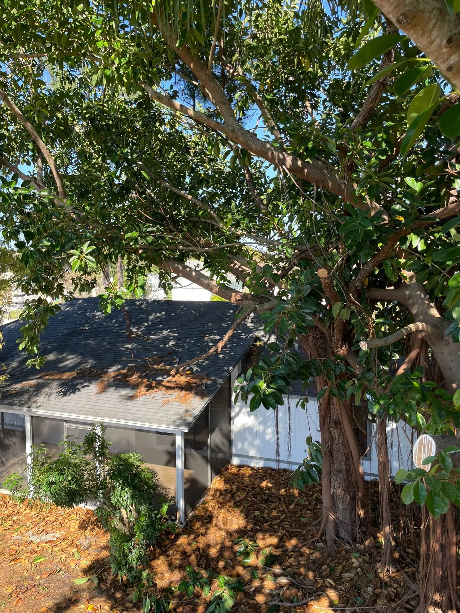 Rubber Removal 1-3.jpg