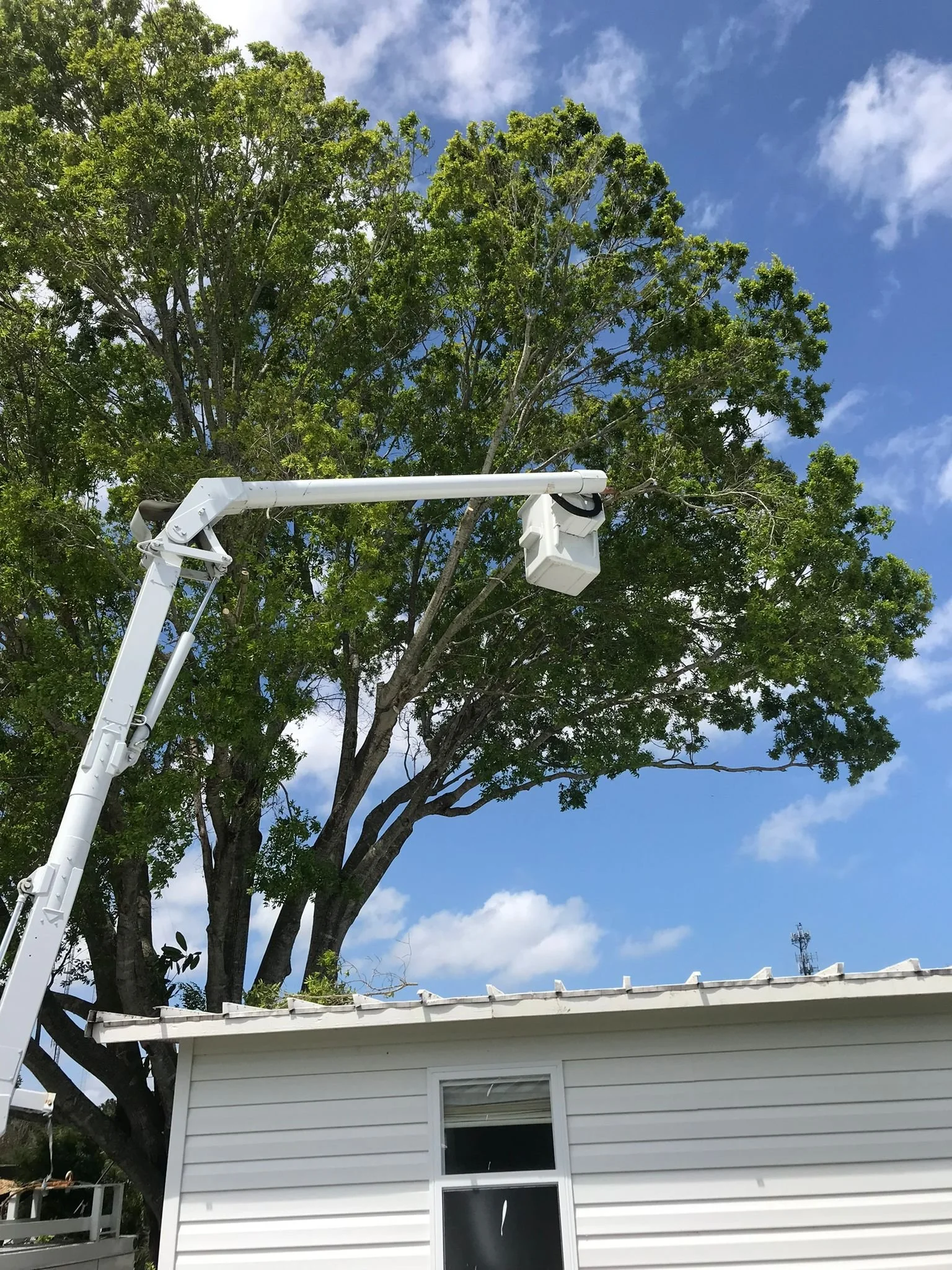 Rubber Removal 1-2.jpg