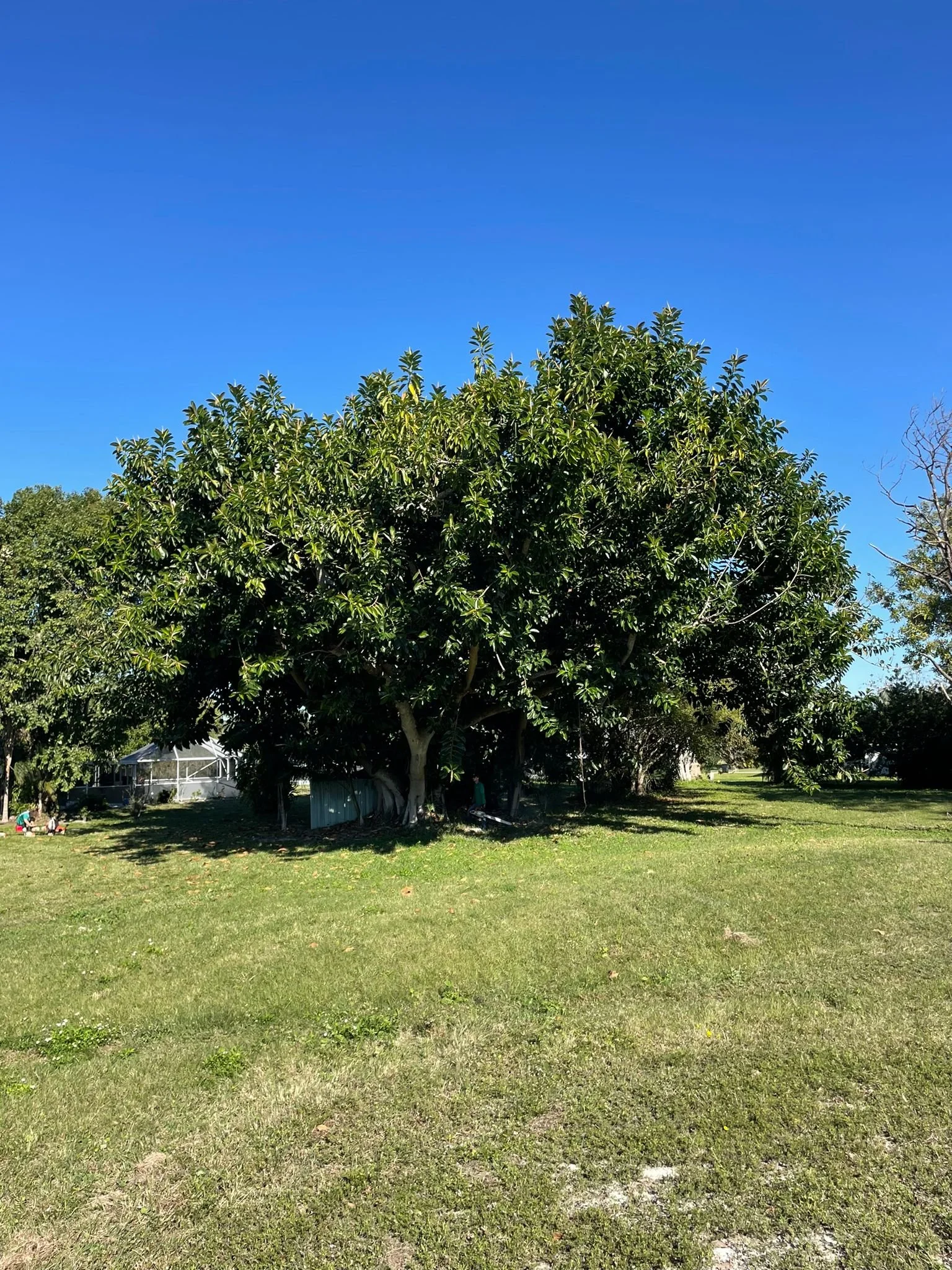 Rubber Removal 2-1.jpg