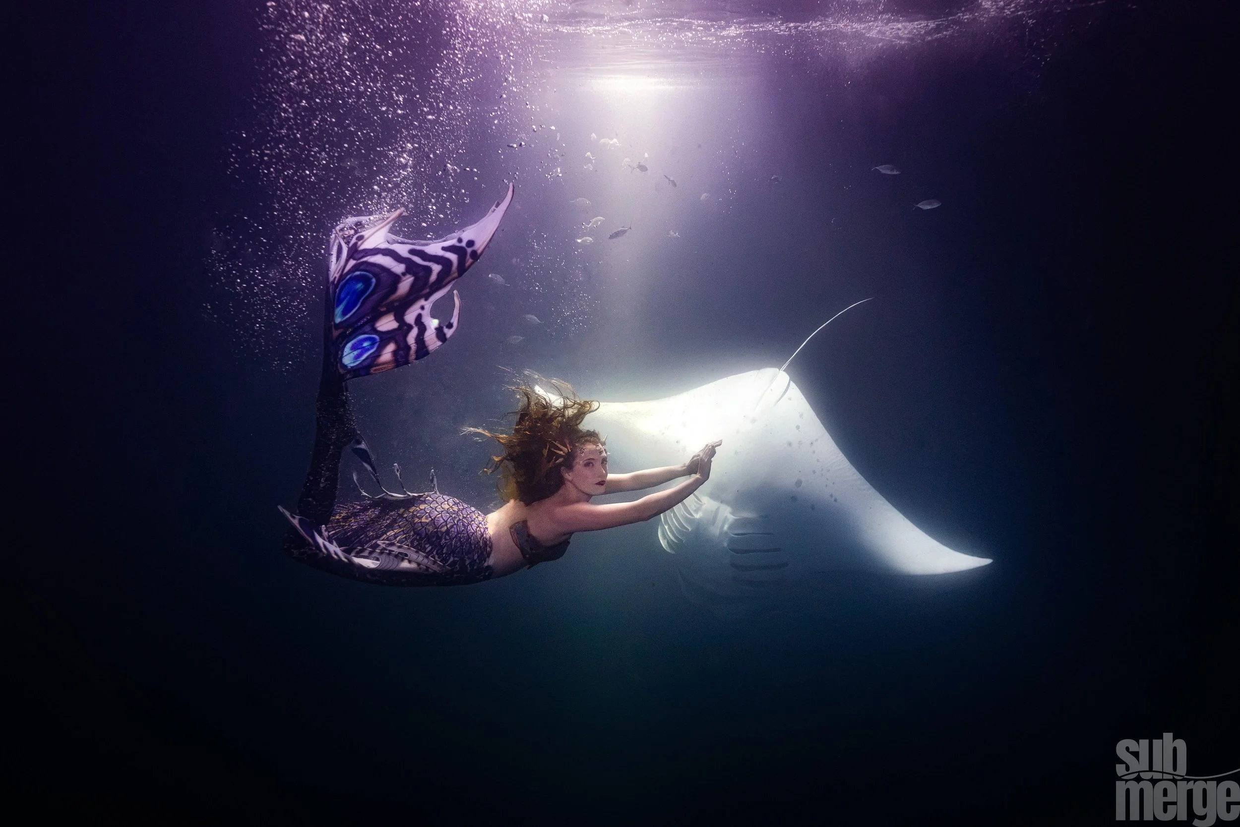 mermaid13.jpg
