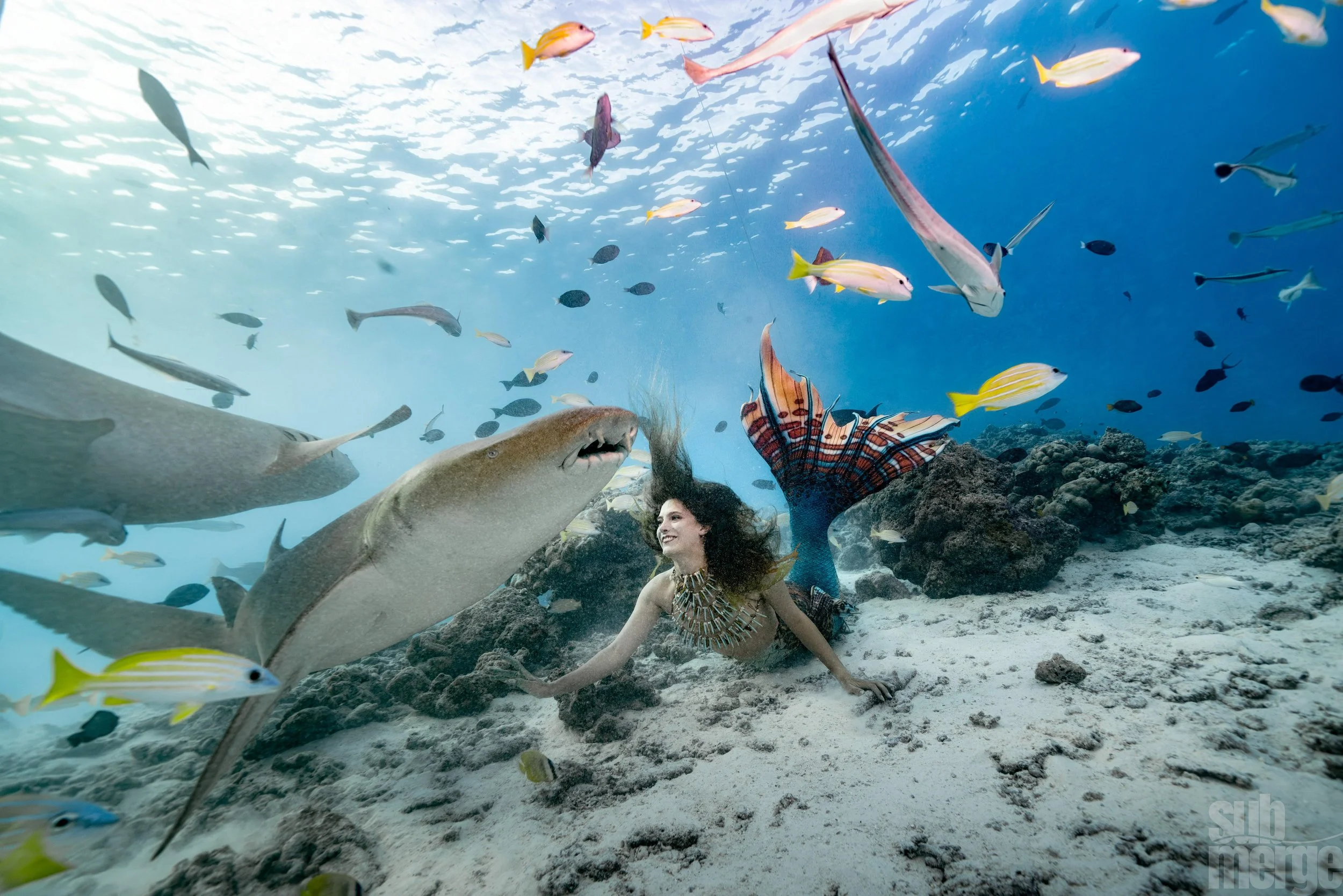 mermaid7.jpg