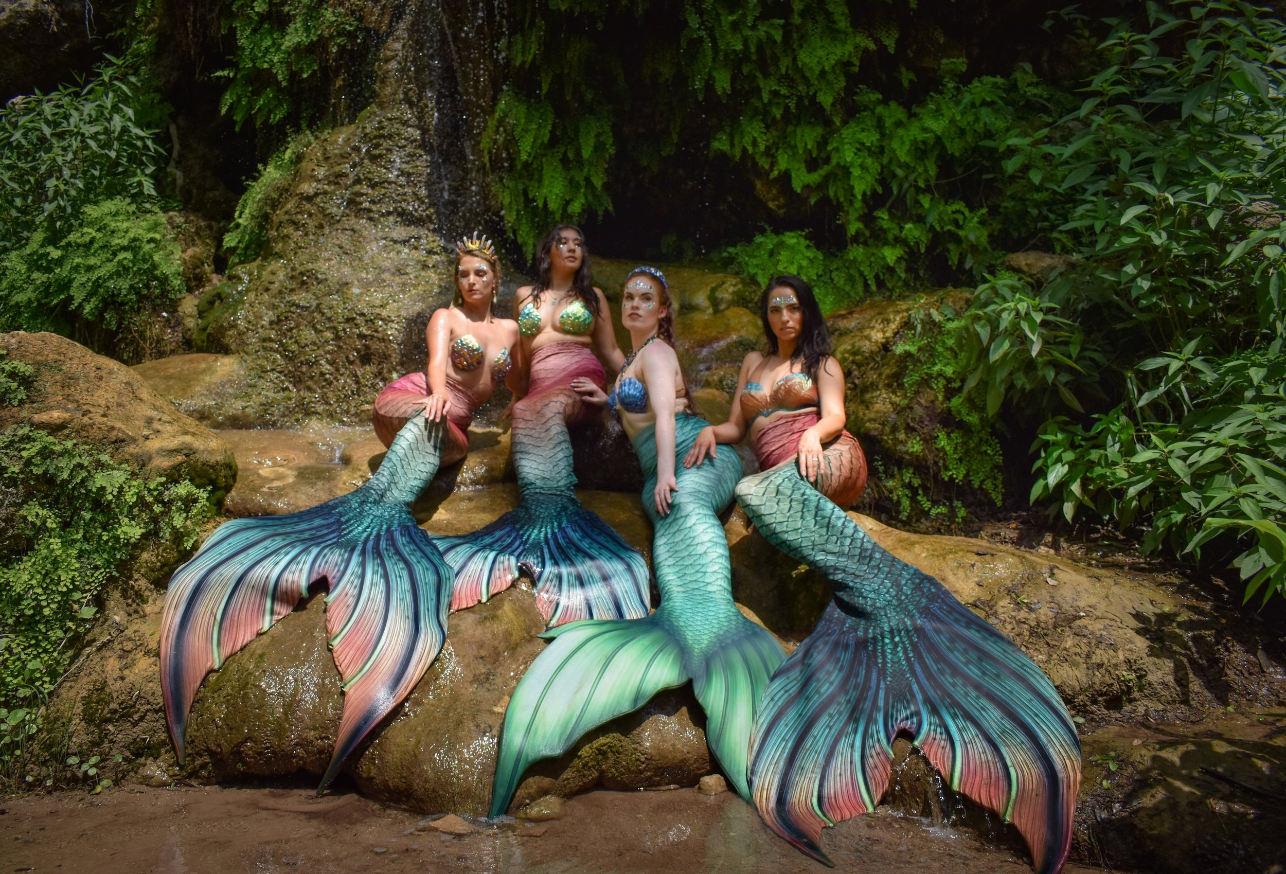 DSC_0196_Original 2.JPG