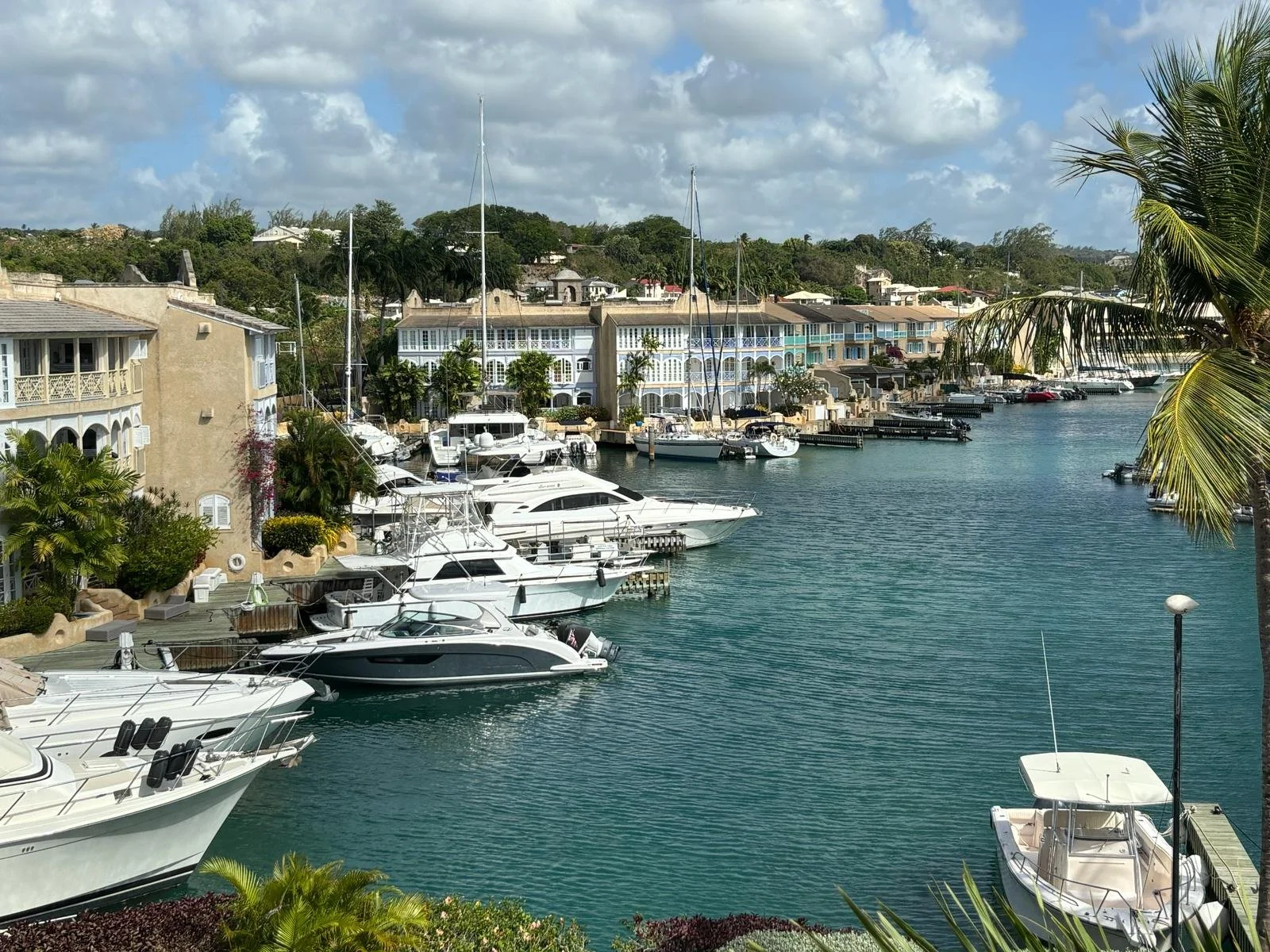 Waterfront view of a marina with multiple white yachts docked along the pier, surrounded by upscale residential buildings with palm trees and clear blue water under a partly cloudy sky.