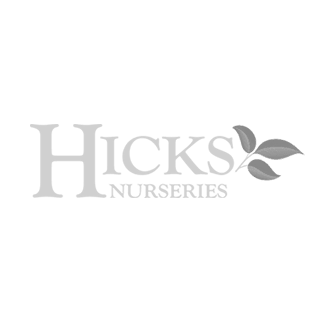 Hicks-Nurseries-Logo-275.png