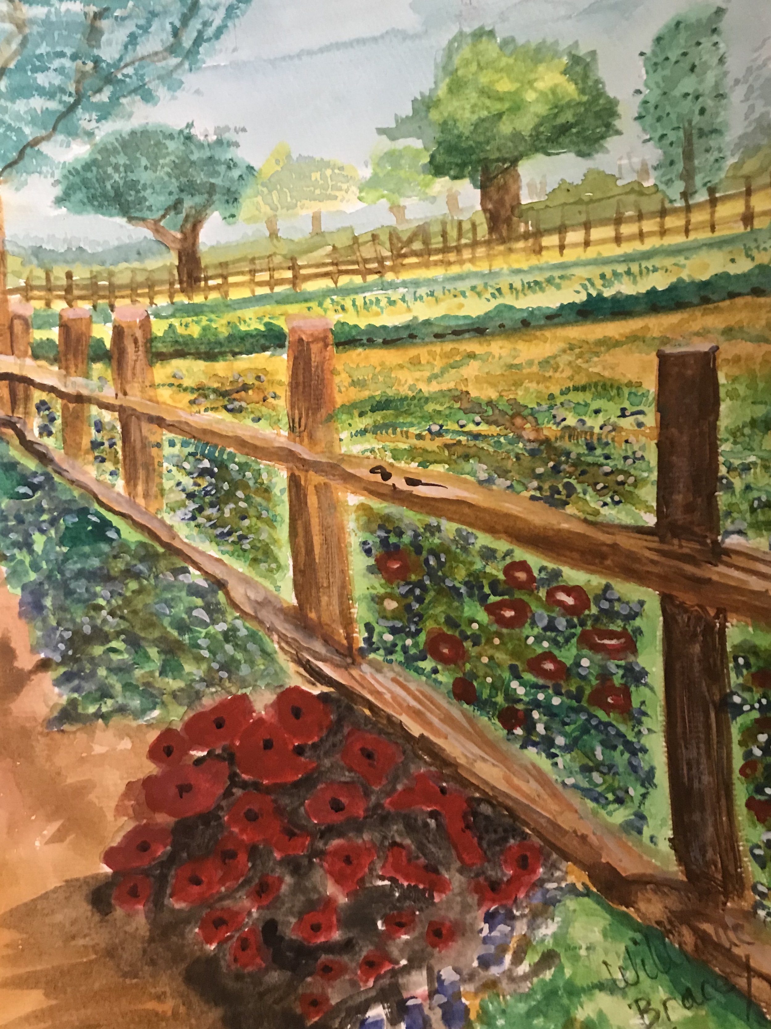 Texas Field of Flowers