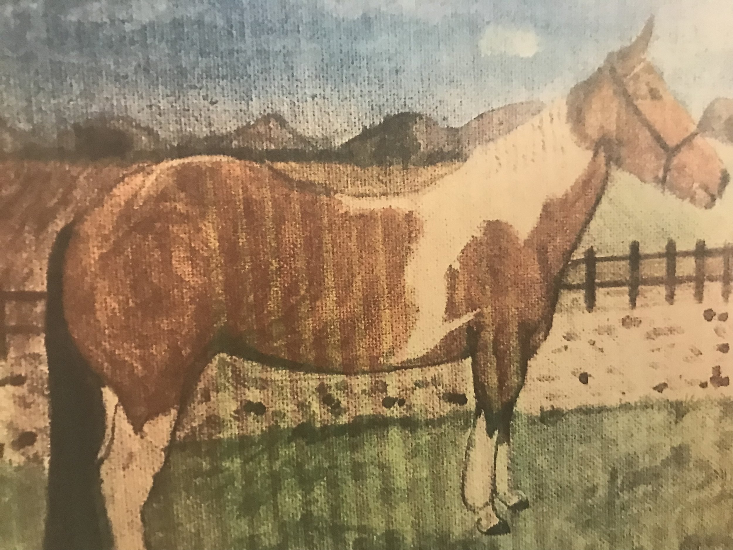 Pony