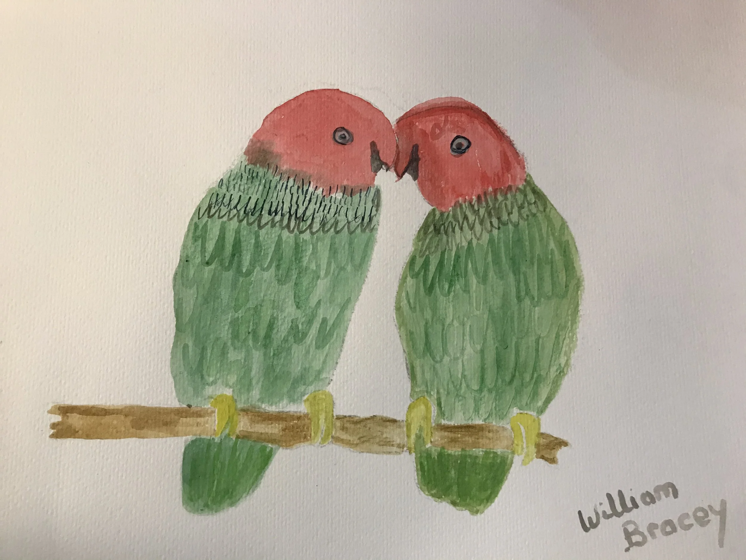 Parrots