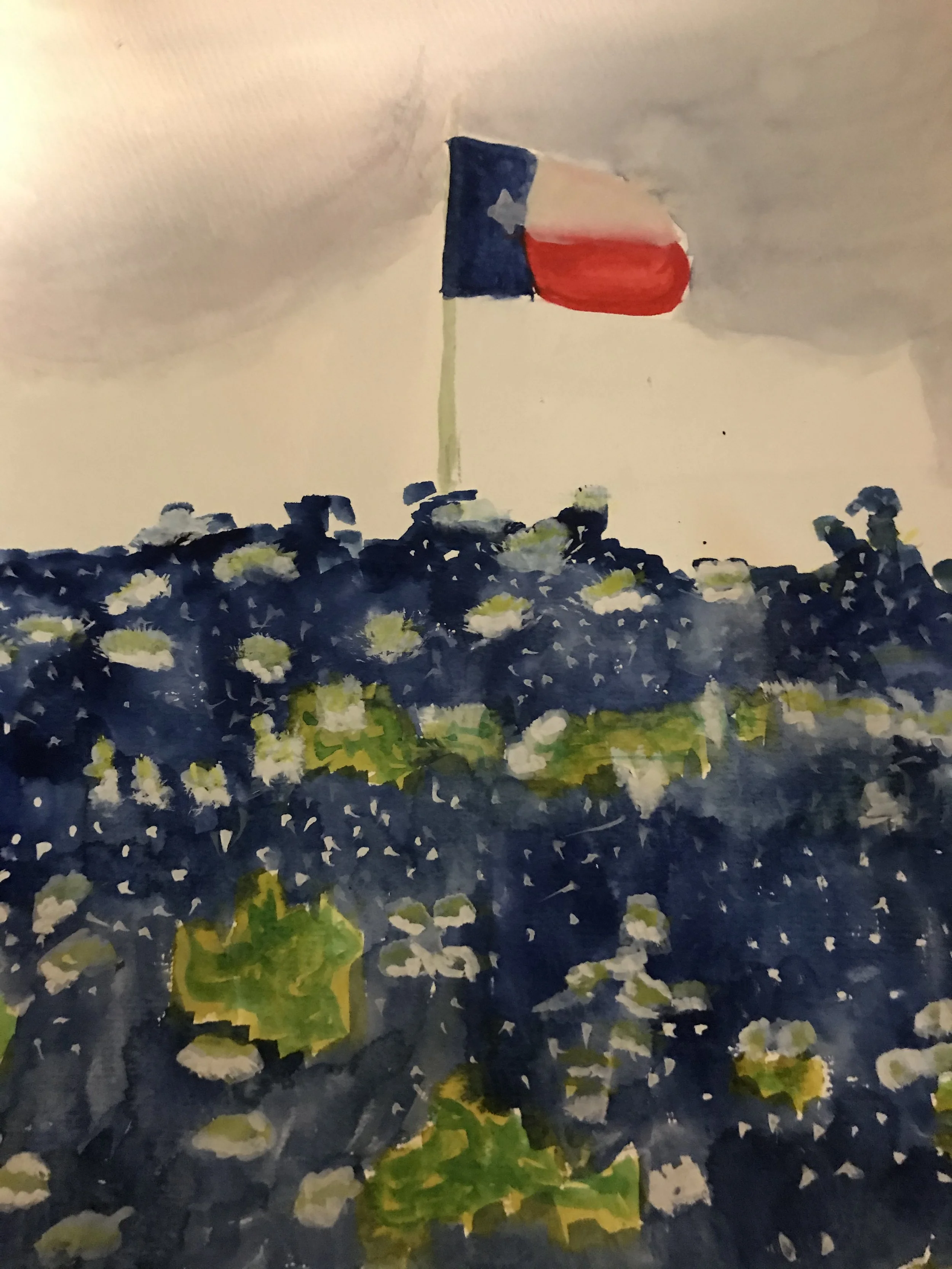 Texas Flag in Bluebonnets