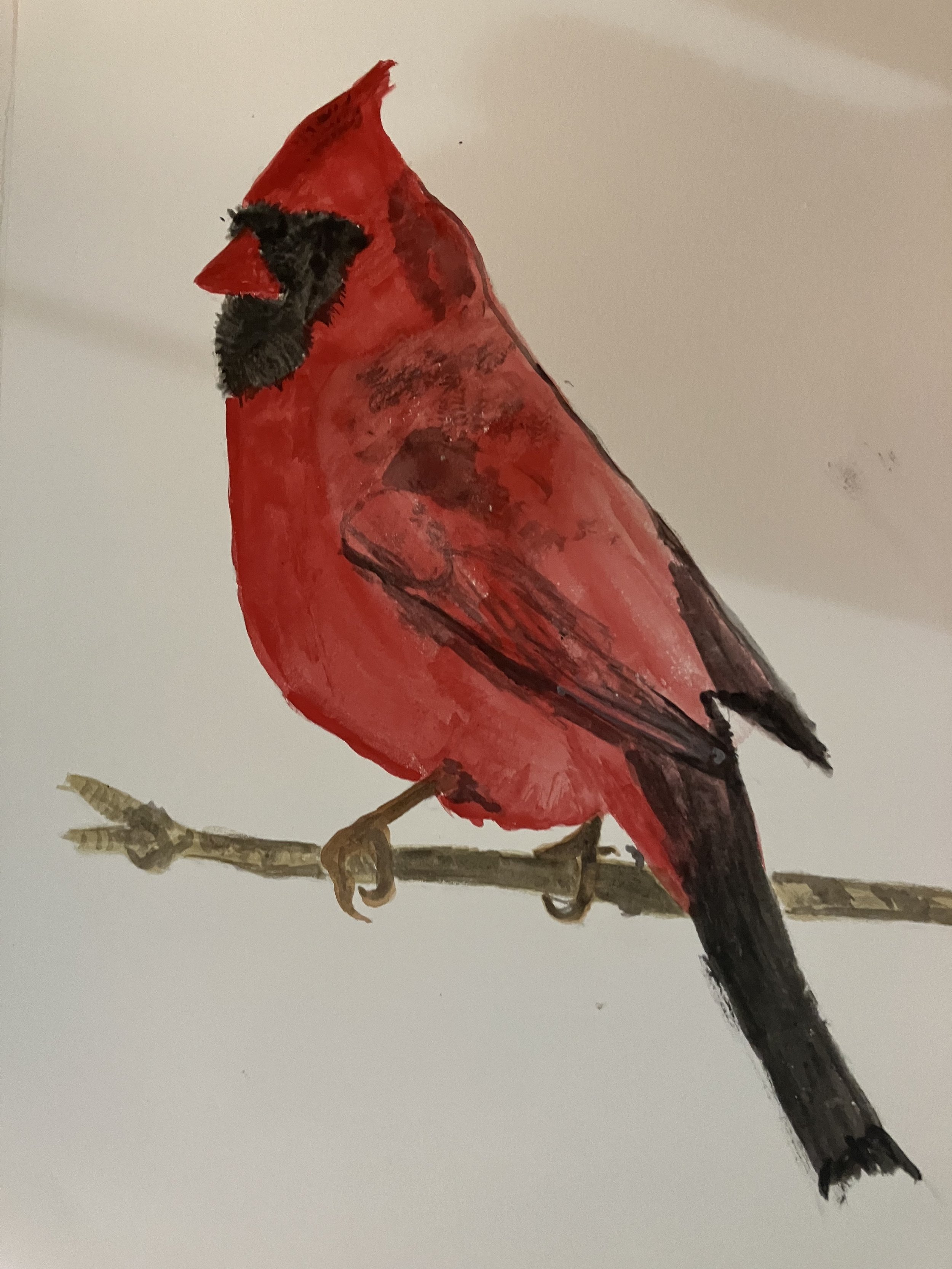 Cardinal
