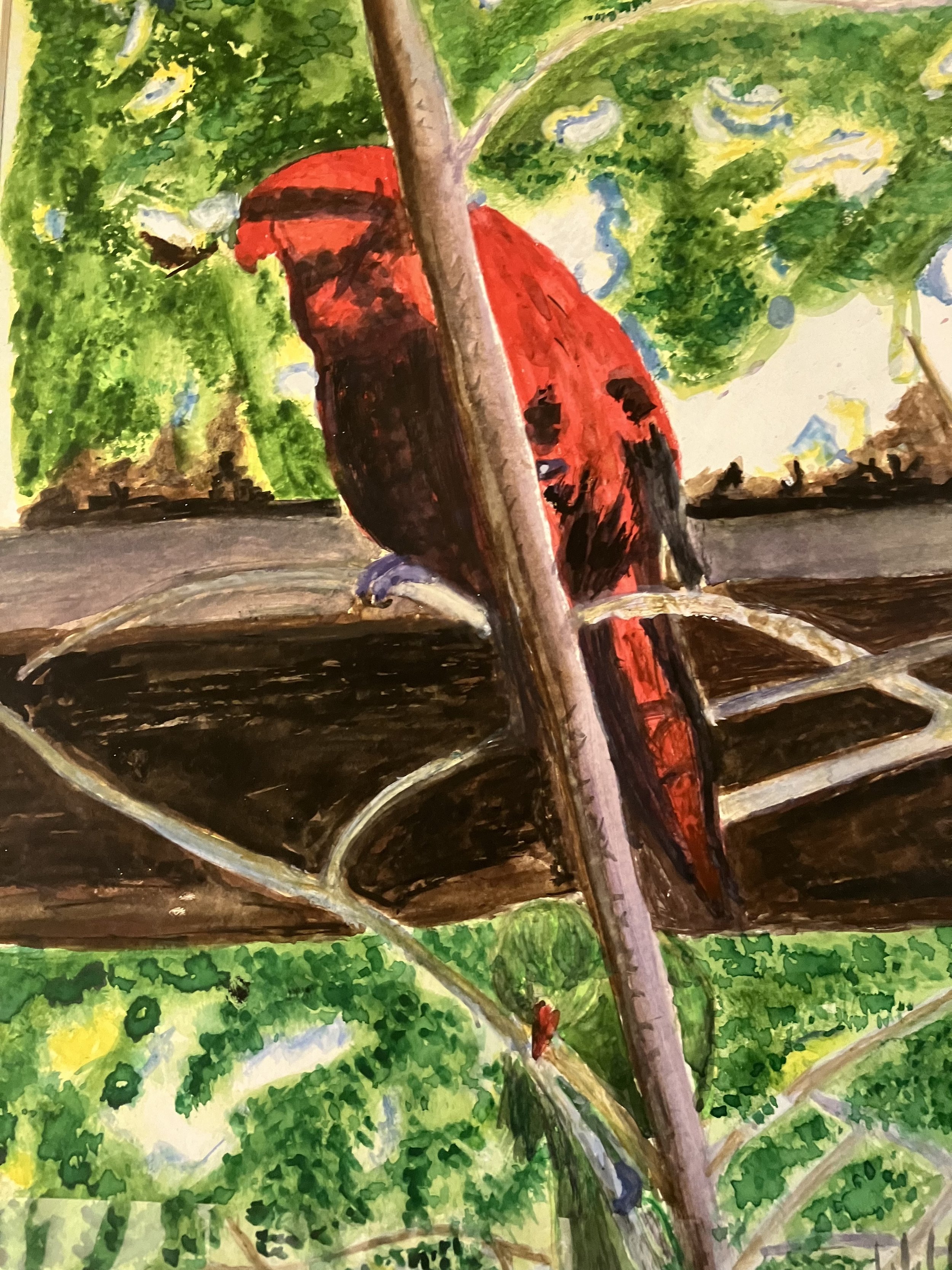 Red Parrot in Hannover Zoo Germany