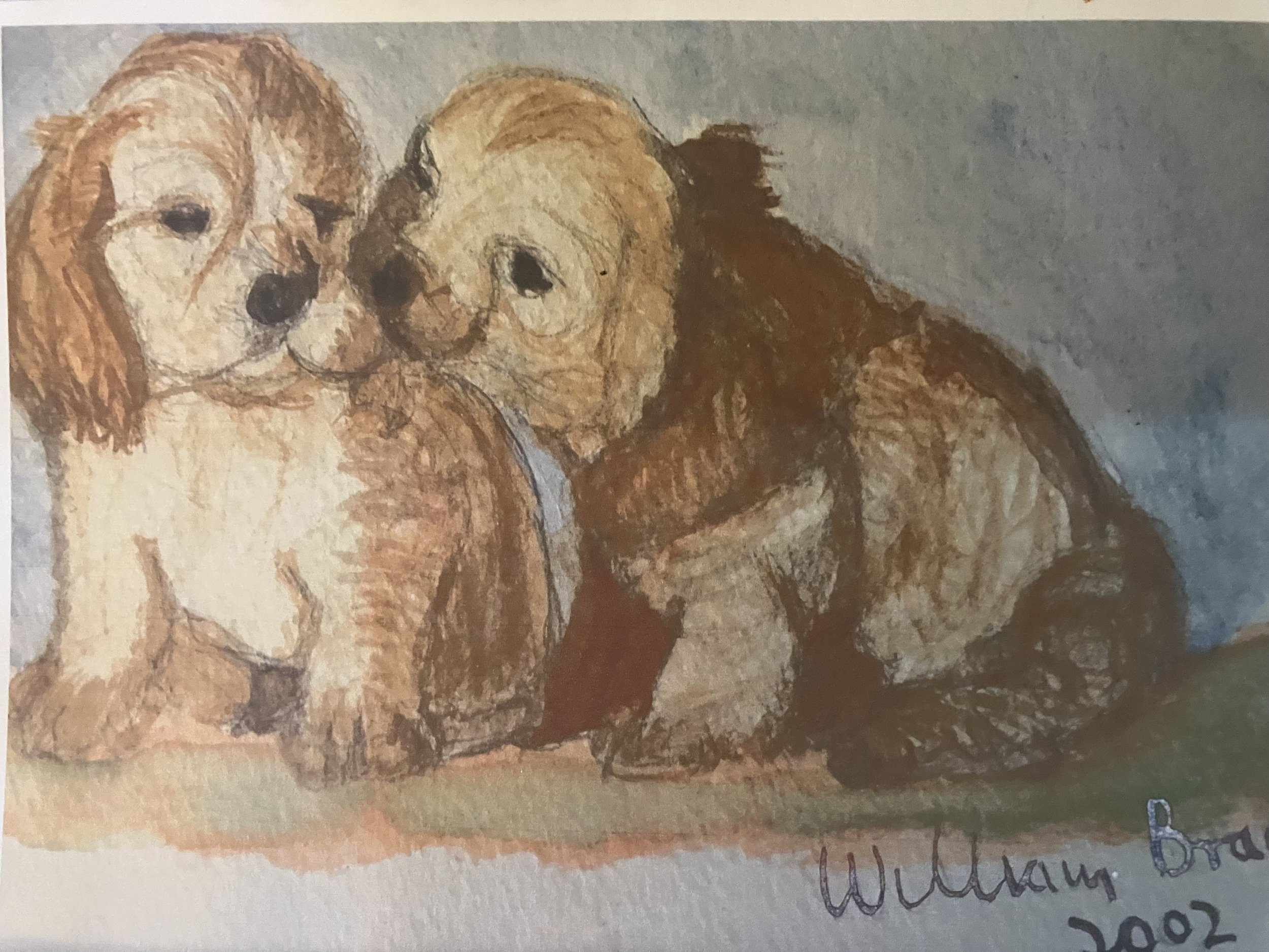 puppies