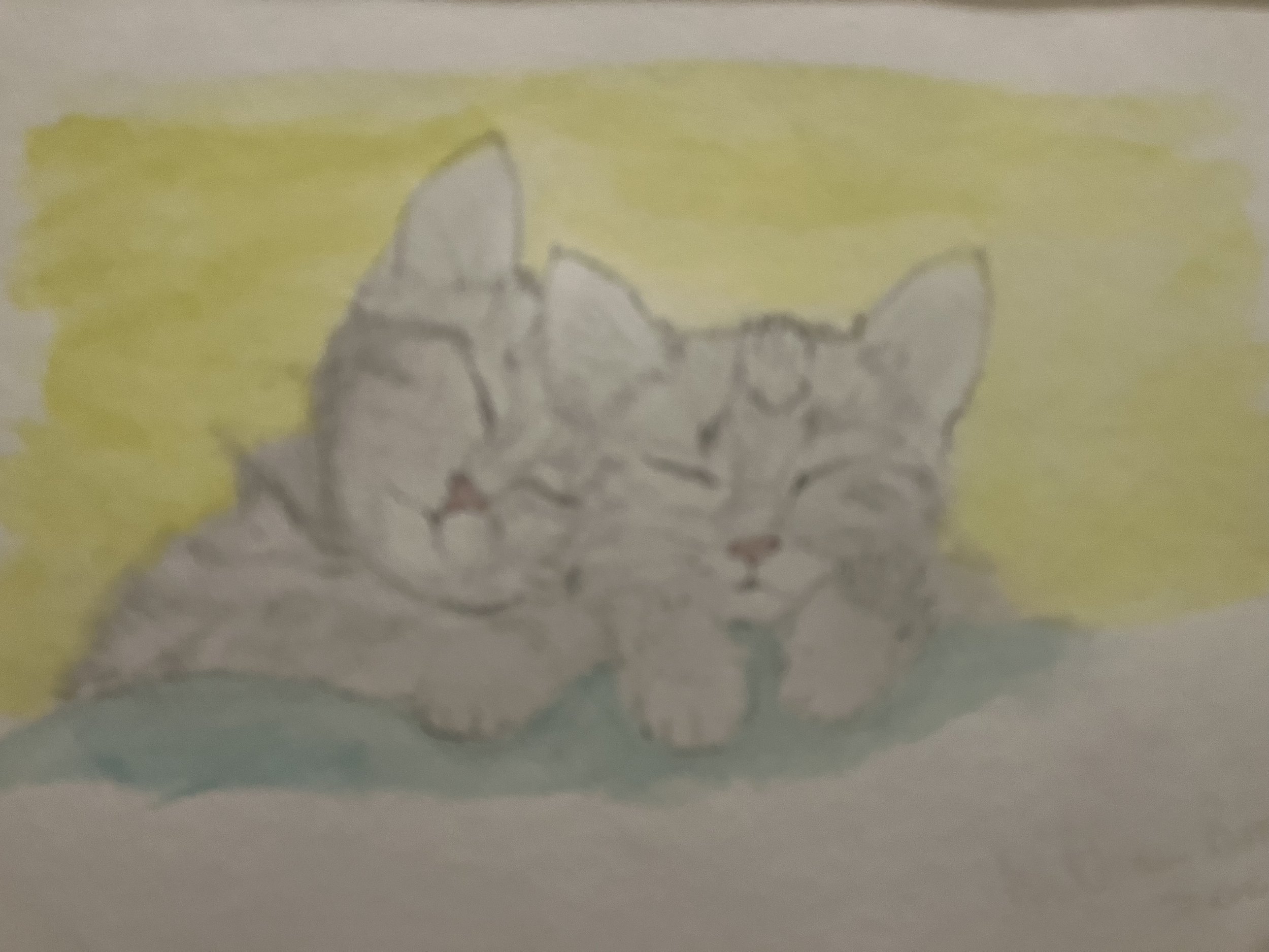 Kittens