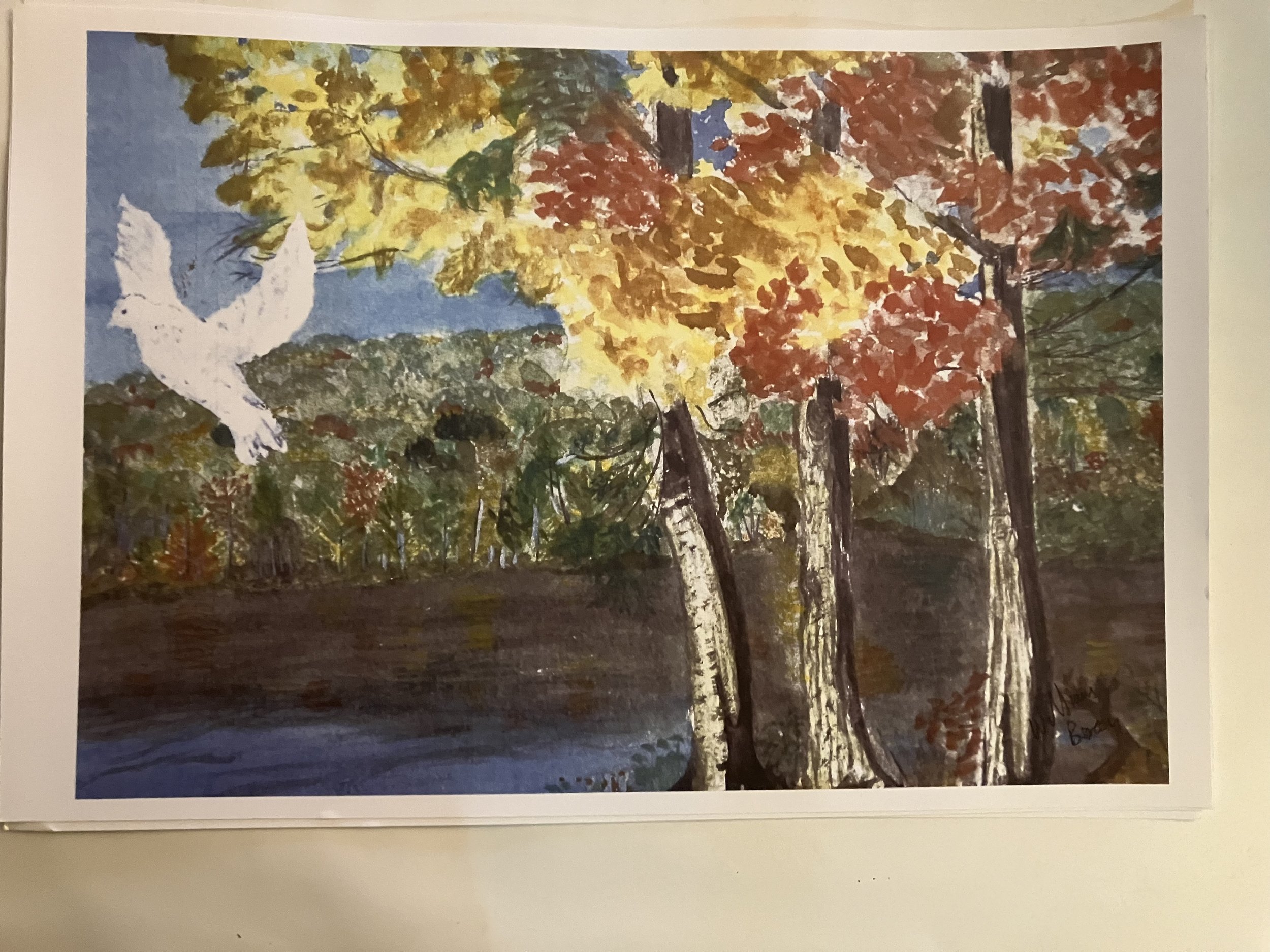 Dove in Ontario Canada Print