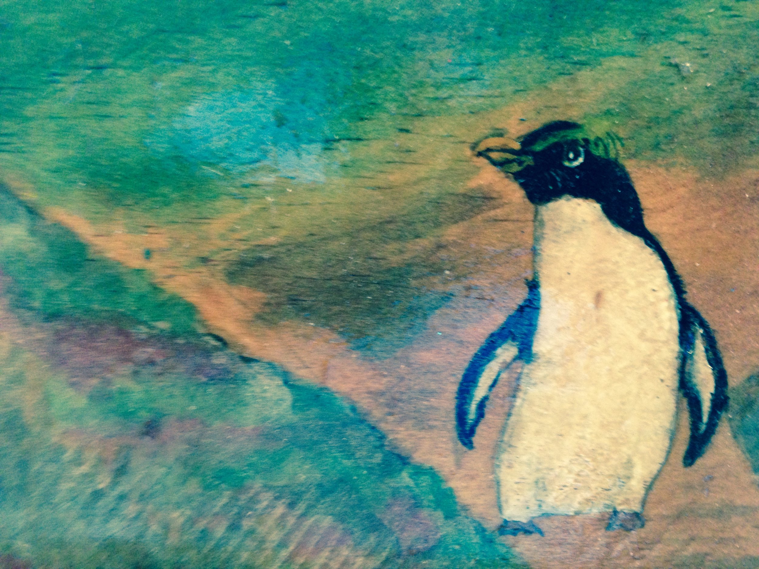 New Zealand Penguin