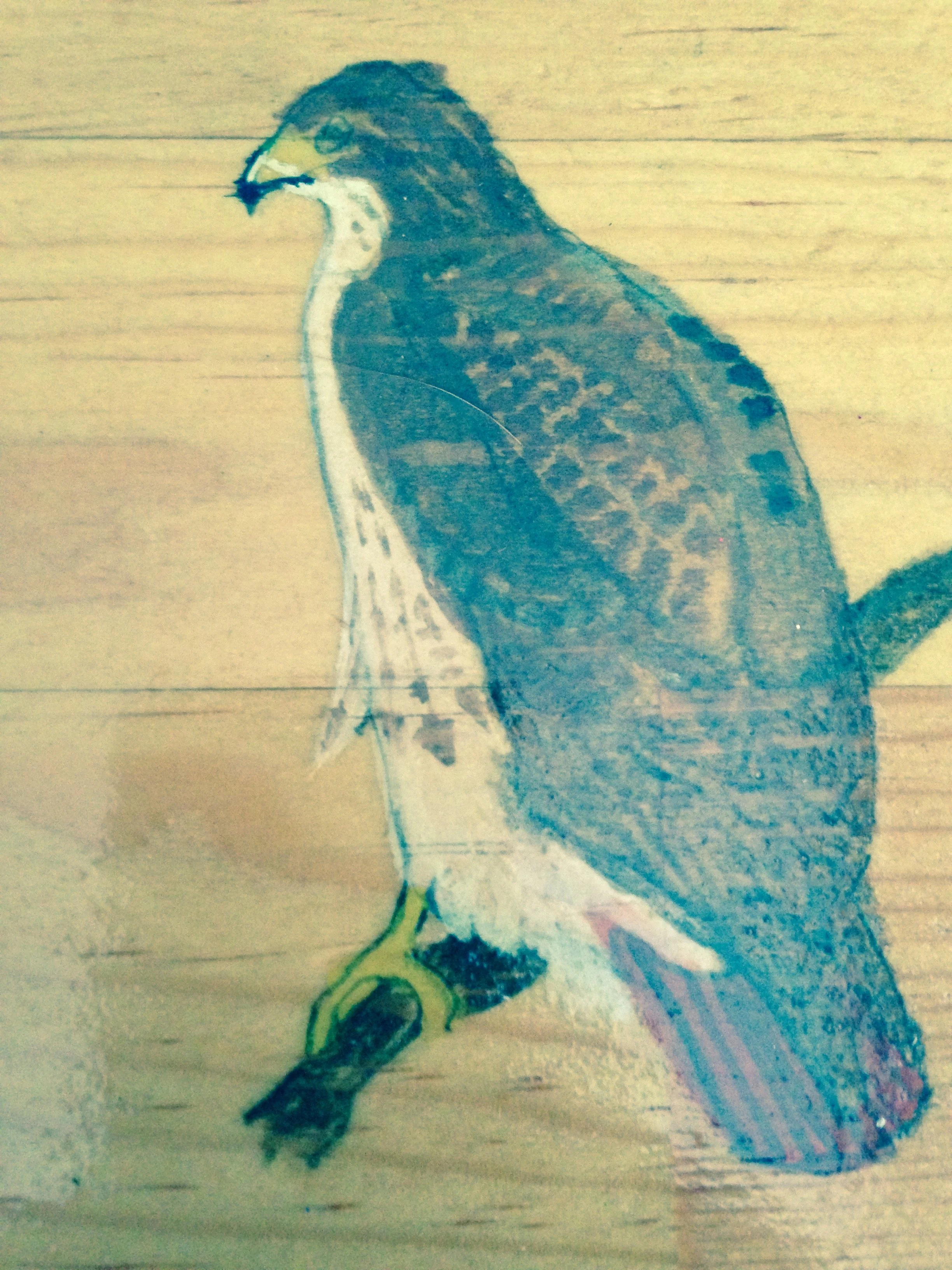 Eagle