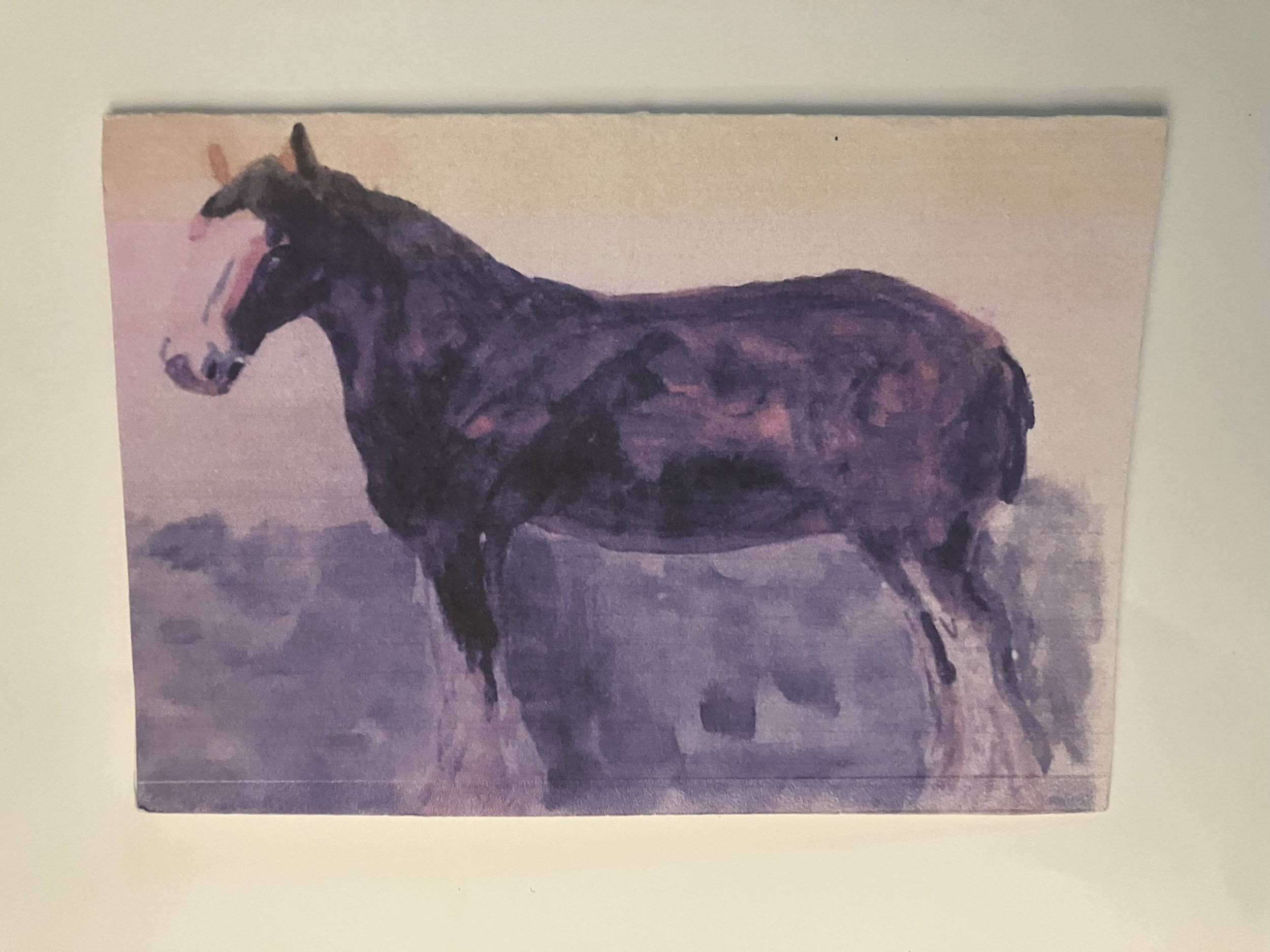 Cart Horse