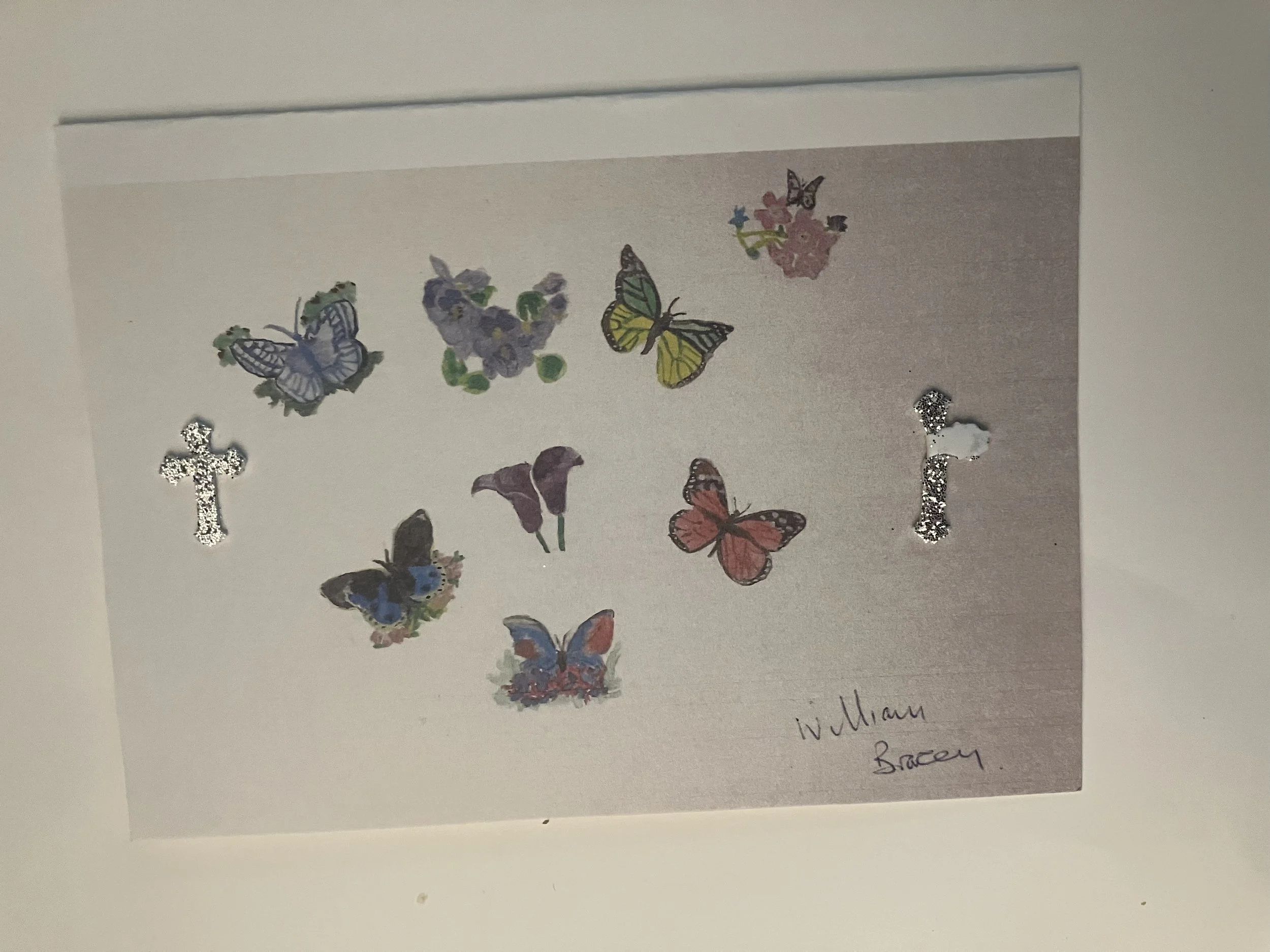 Butterflies