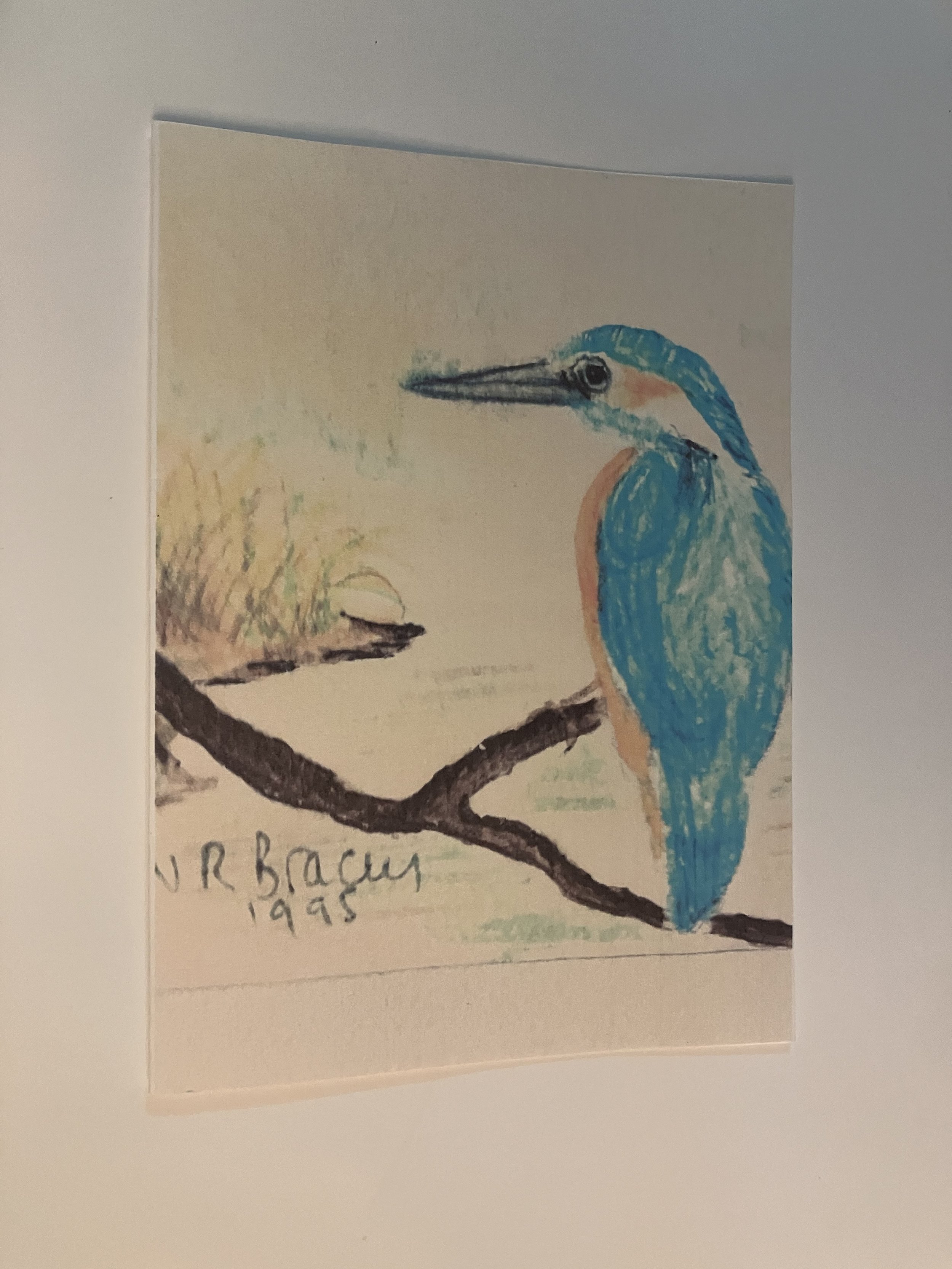 Kingfisher