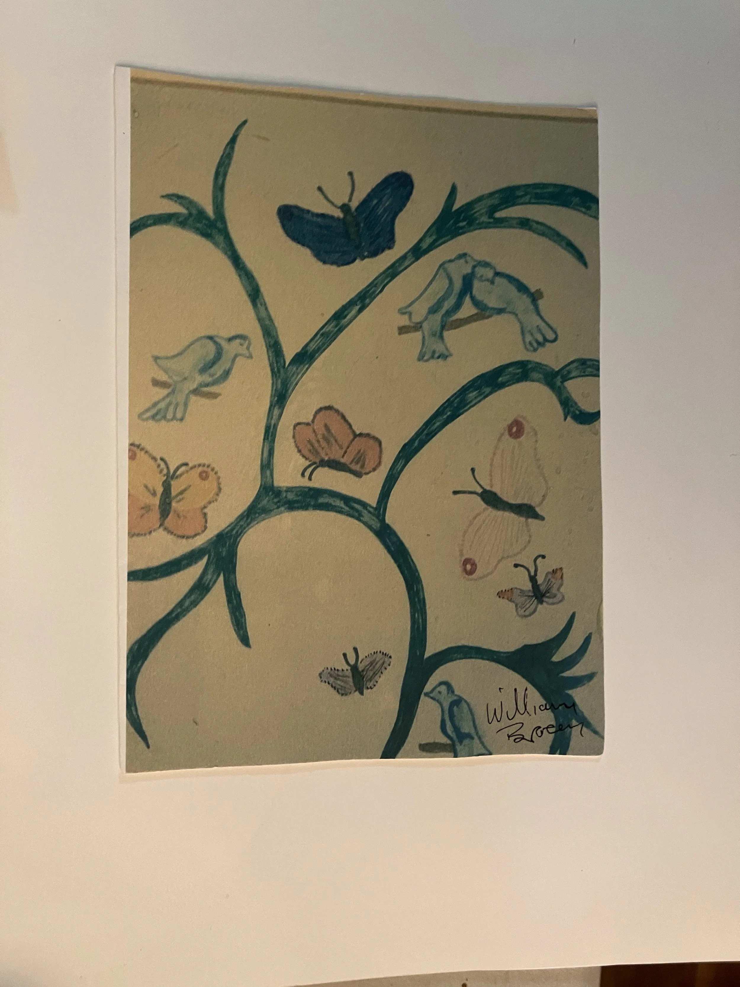 Doves and Butterflies