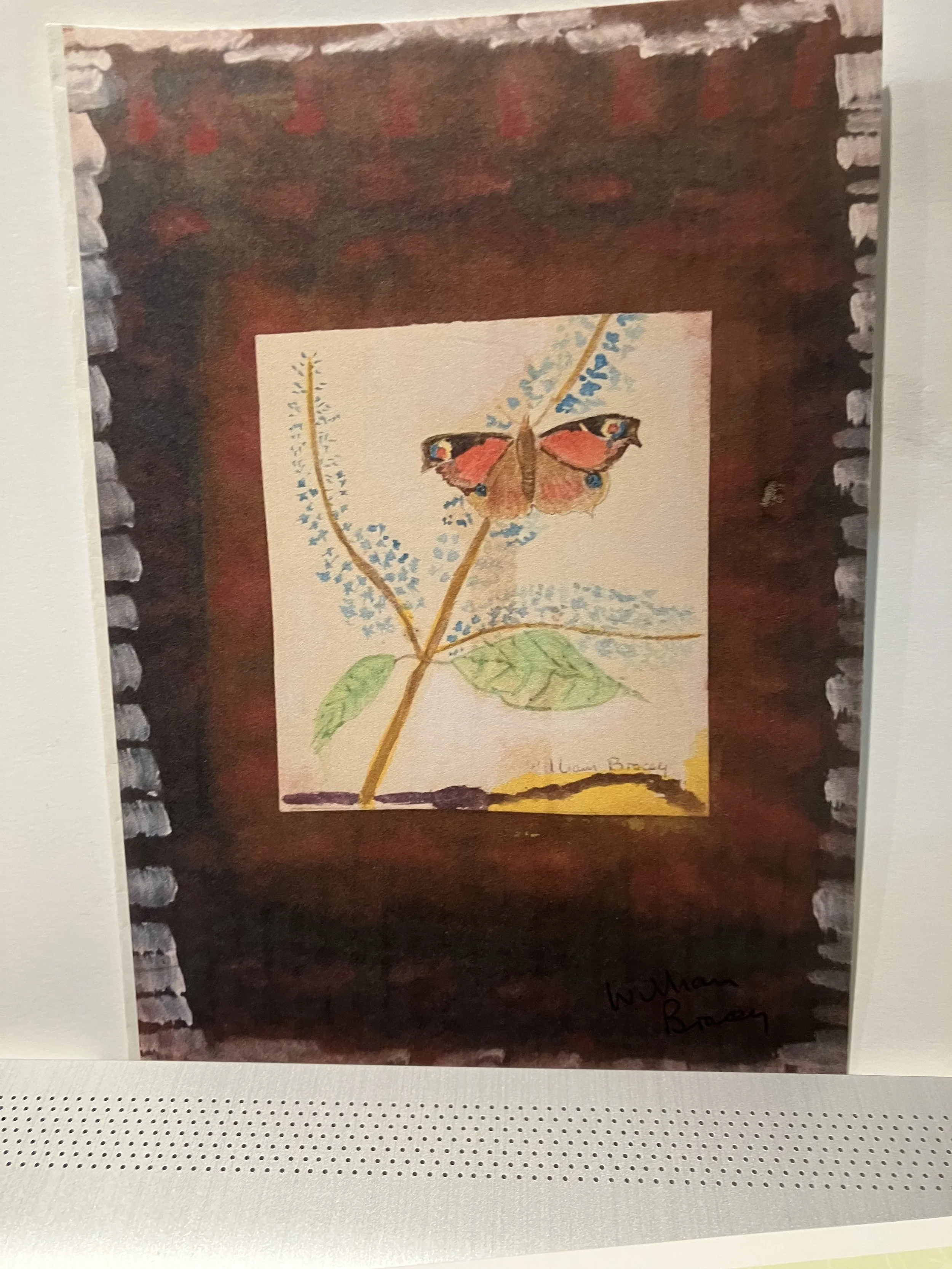 Butterfly