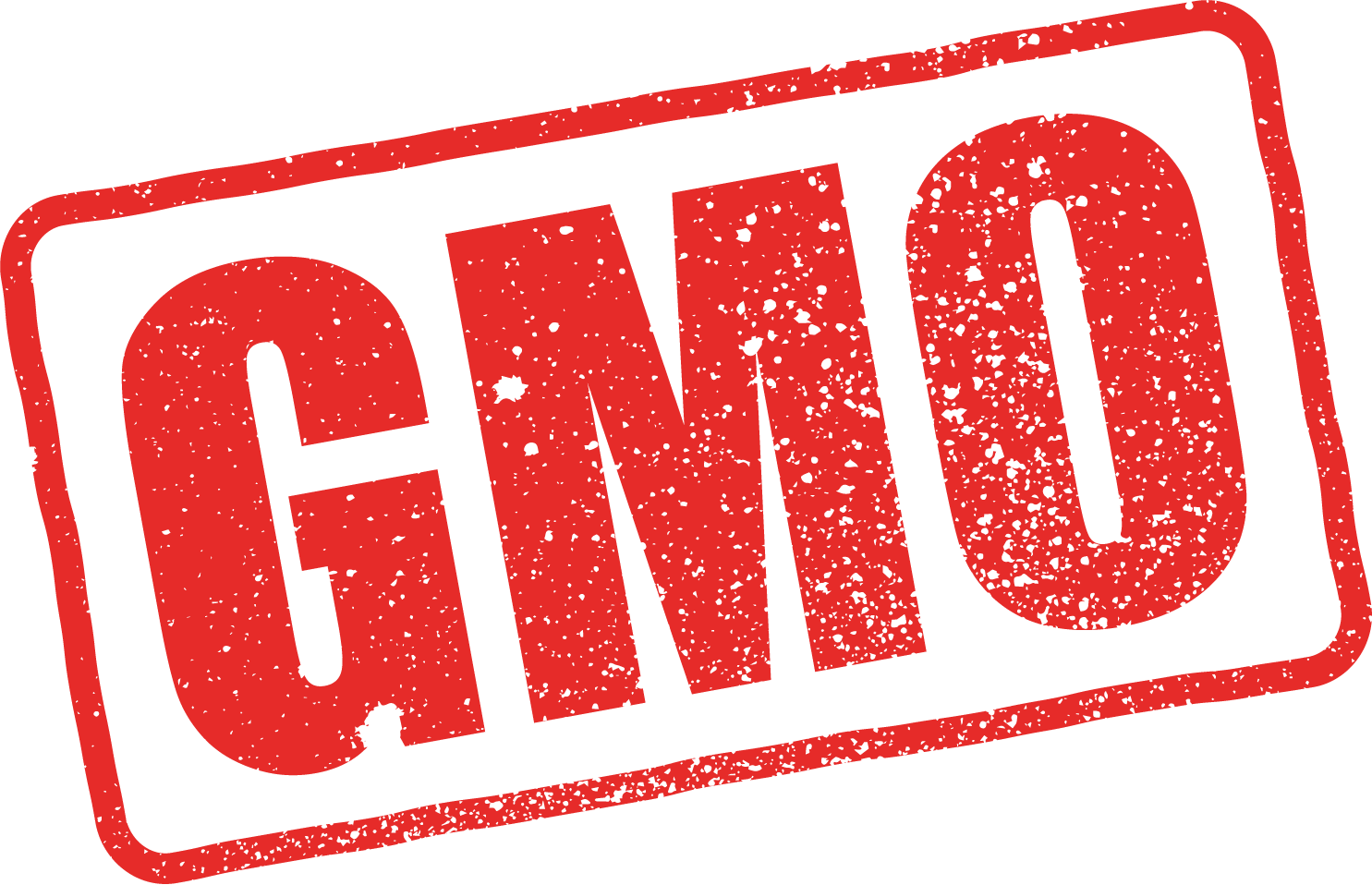 GMO