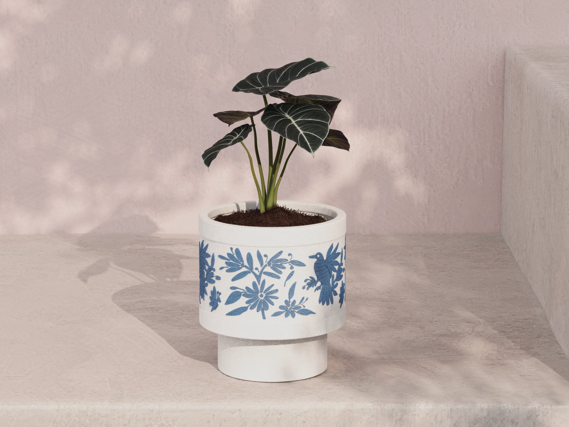 Slippers Studio.18.jpg