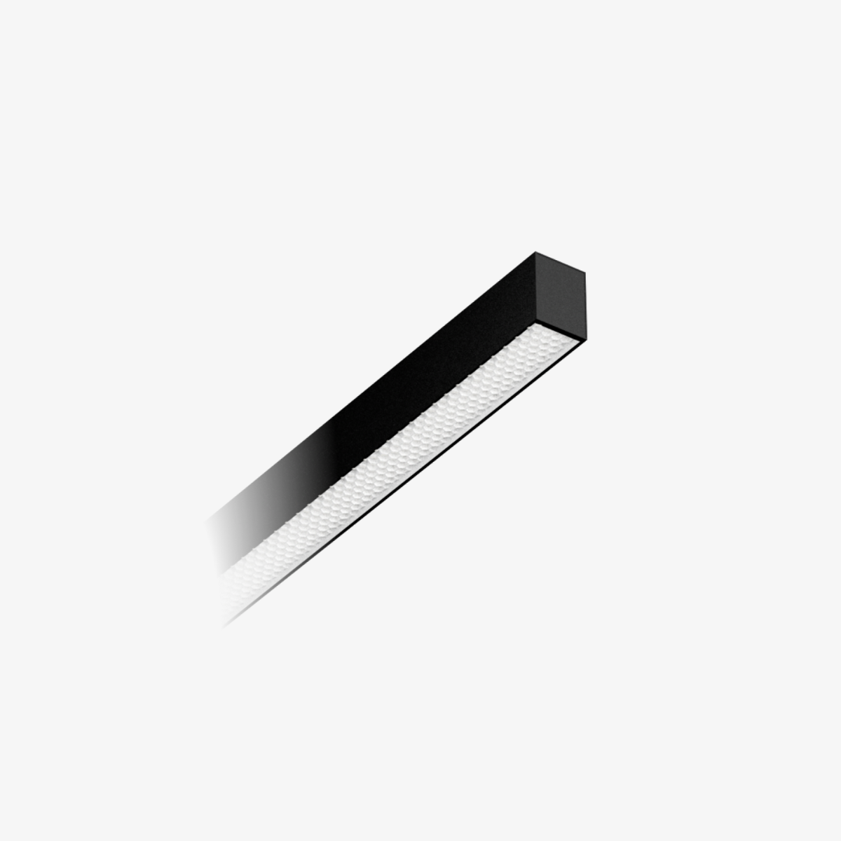 LX Infinity <em>Unios</em>