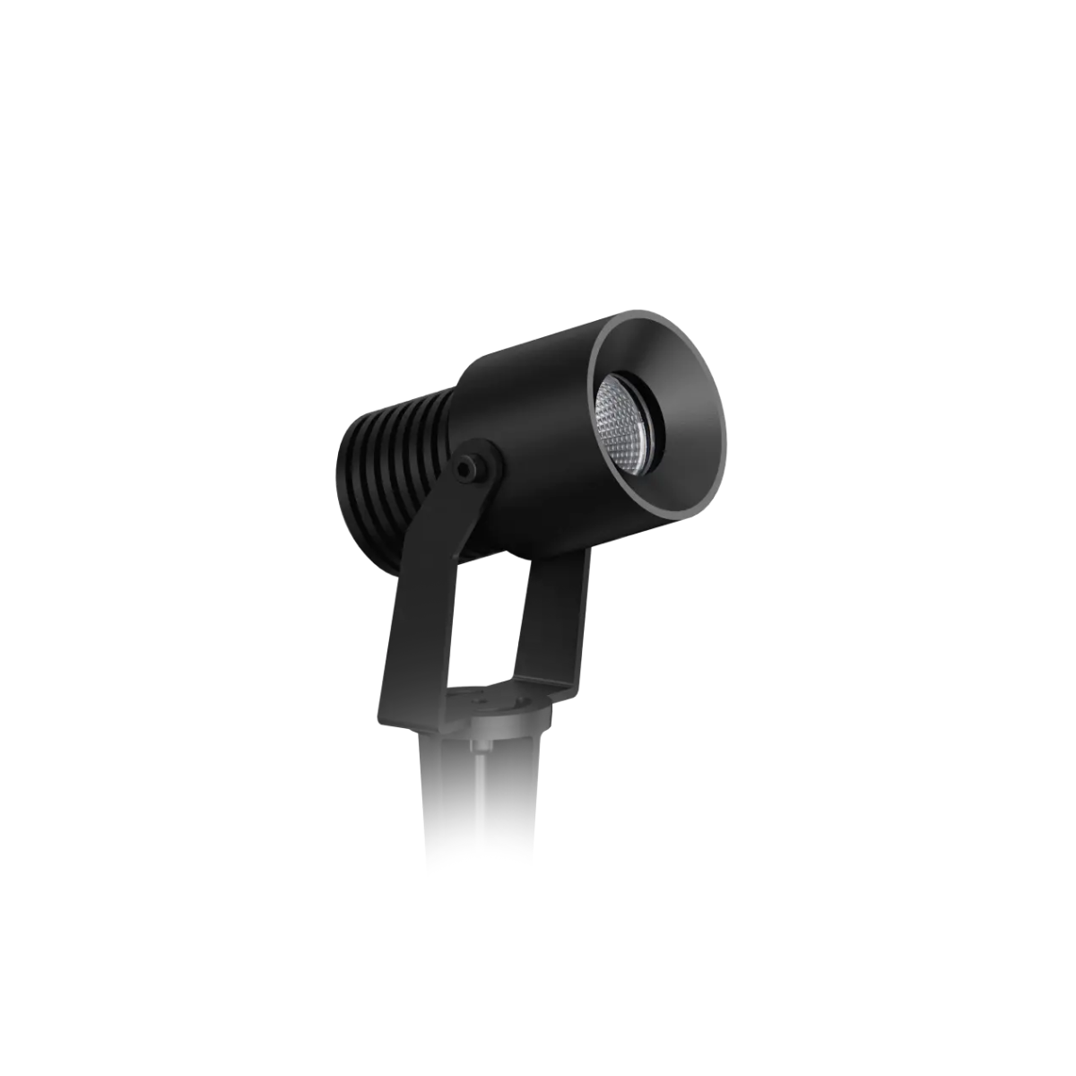 Emerald Spike Spotlight <em>Unios</em>