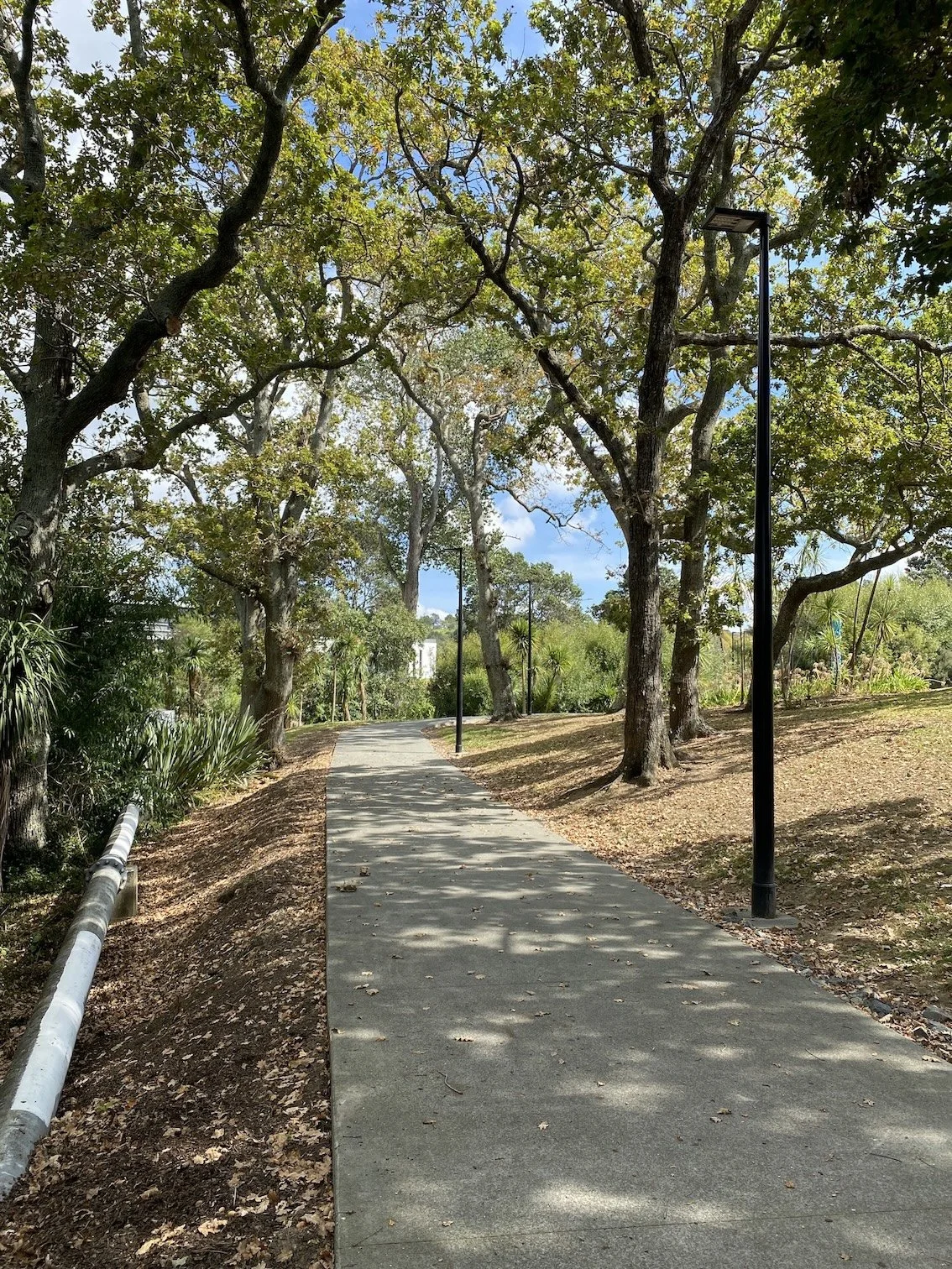 Eastview Reserve, Glen Innes