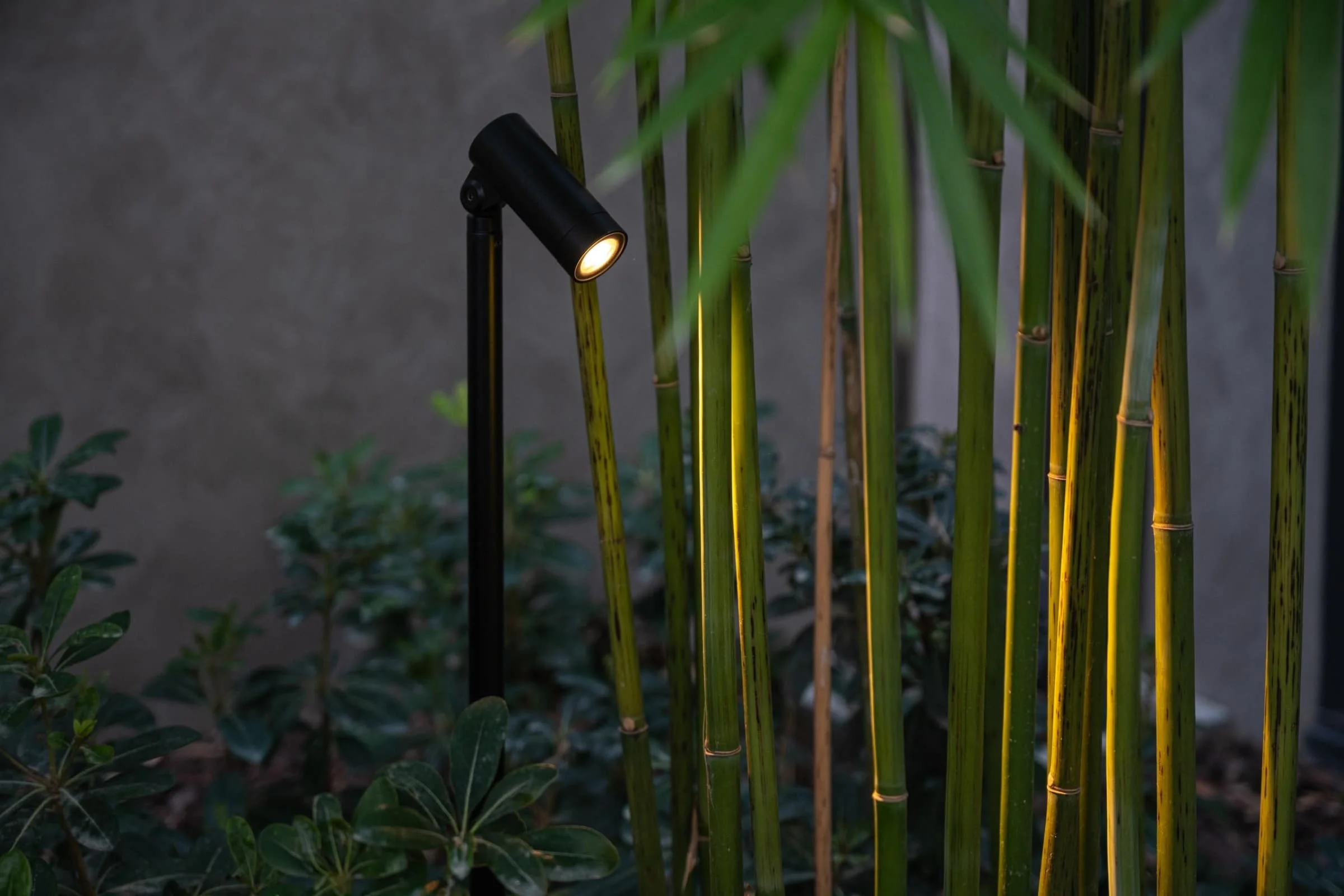 The UNIOS Locus Spotlight