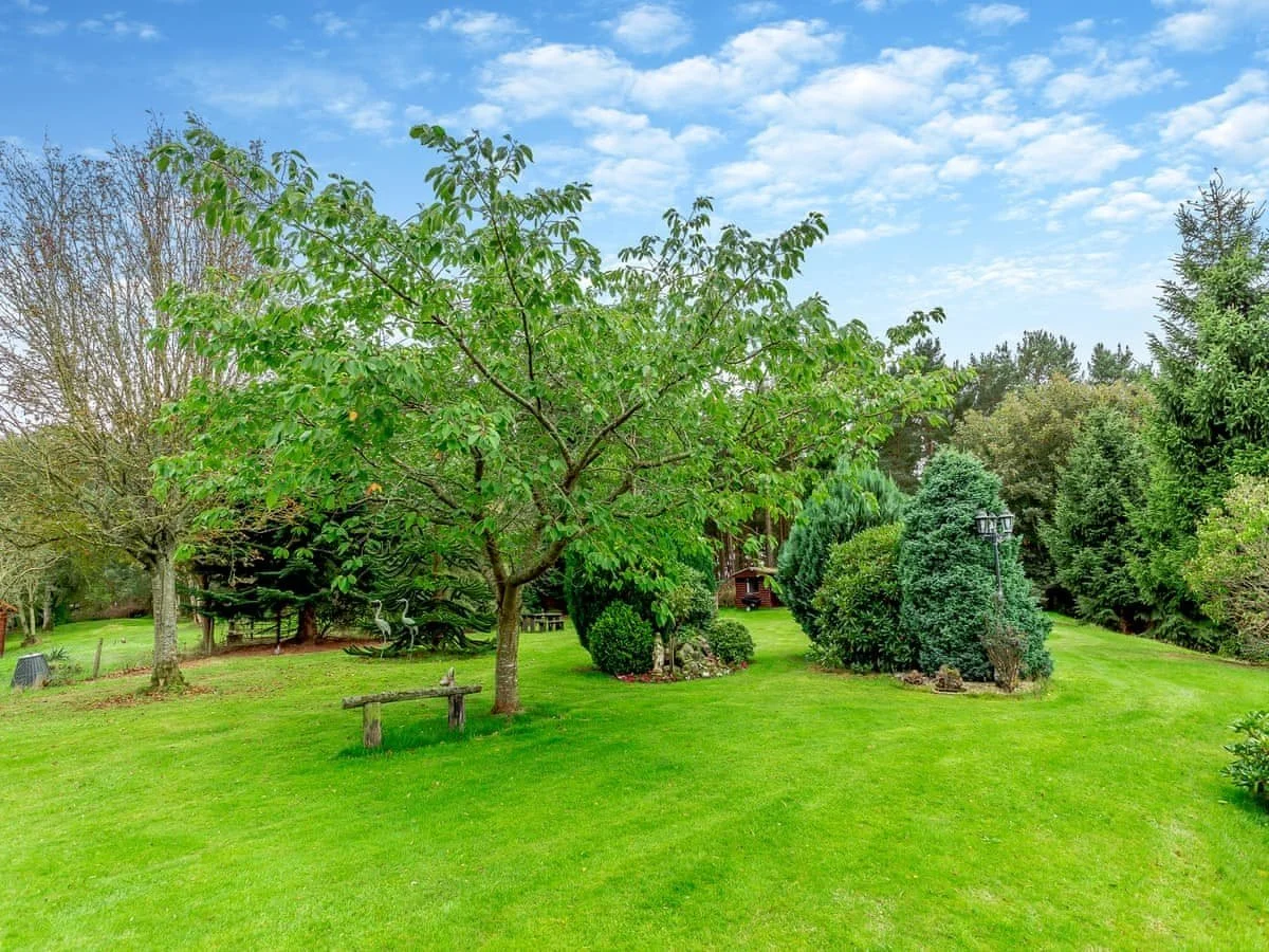 A well-maintained backyard with lush green grass, a large tree, various bushes, and a decorative bird sculpture. The sky is partly cloudy with blue sky visible.
