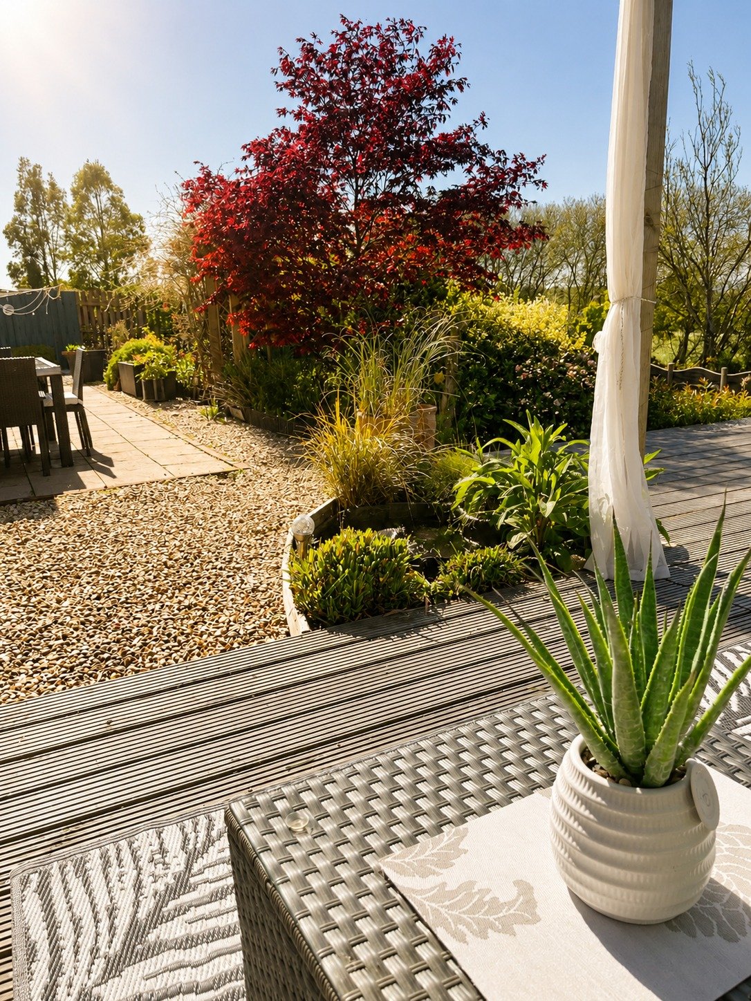 View of a backyard garden with a table and chair set, various plants, trees with red and green leaves, a wooden deck, and a bright, sunny sky.