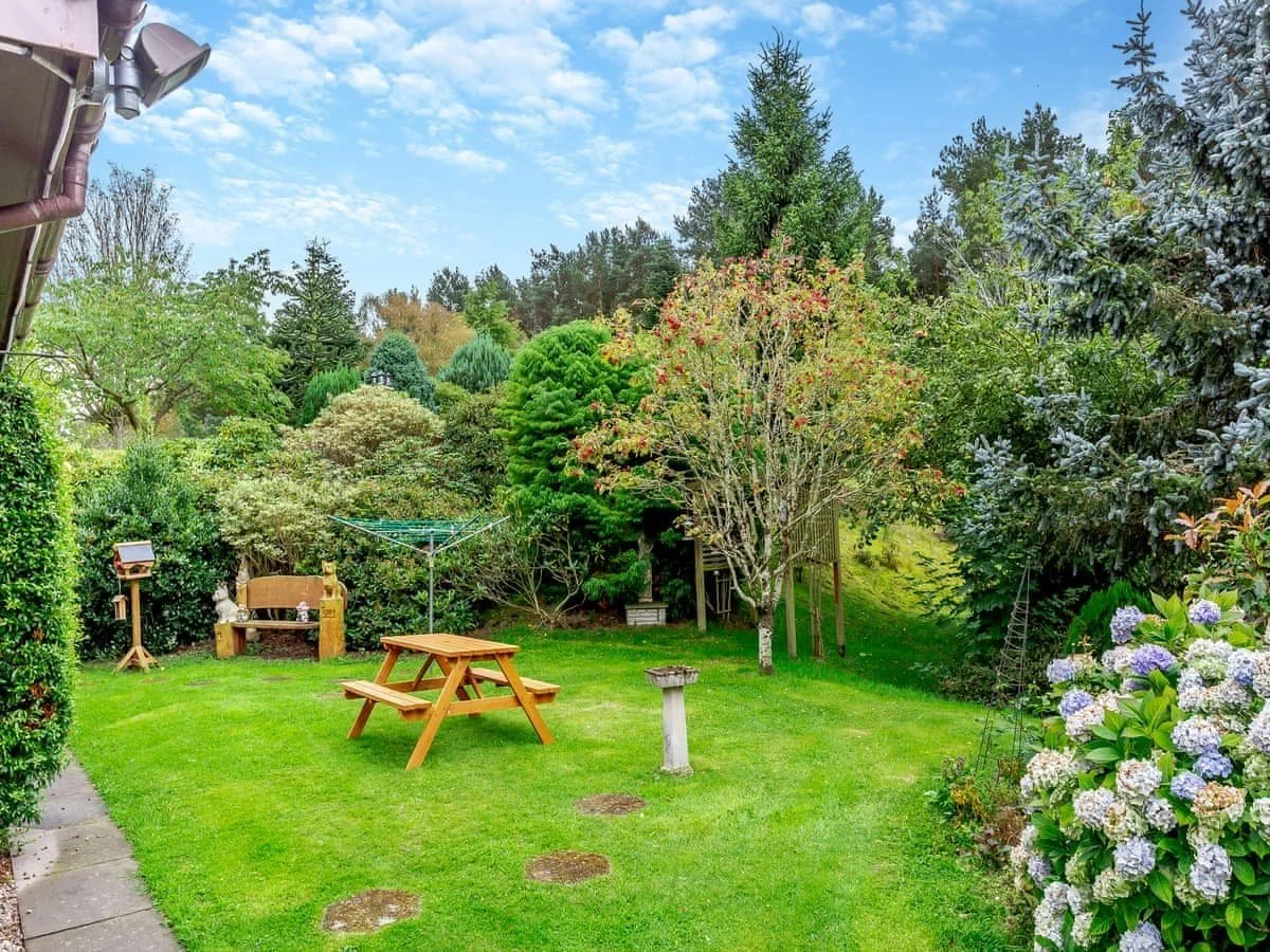 A lush backyard garden with green grass, a picnic table, a bench, various trees and bushes, a birdbath, and a backdrop of a clear blue sky with some clouds.