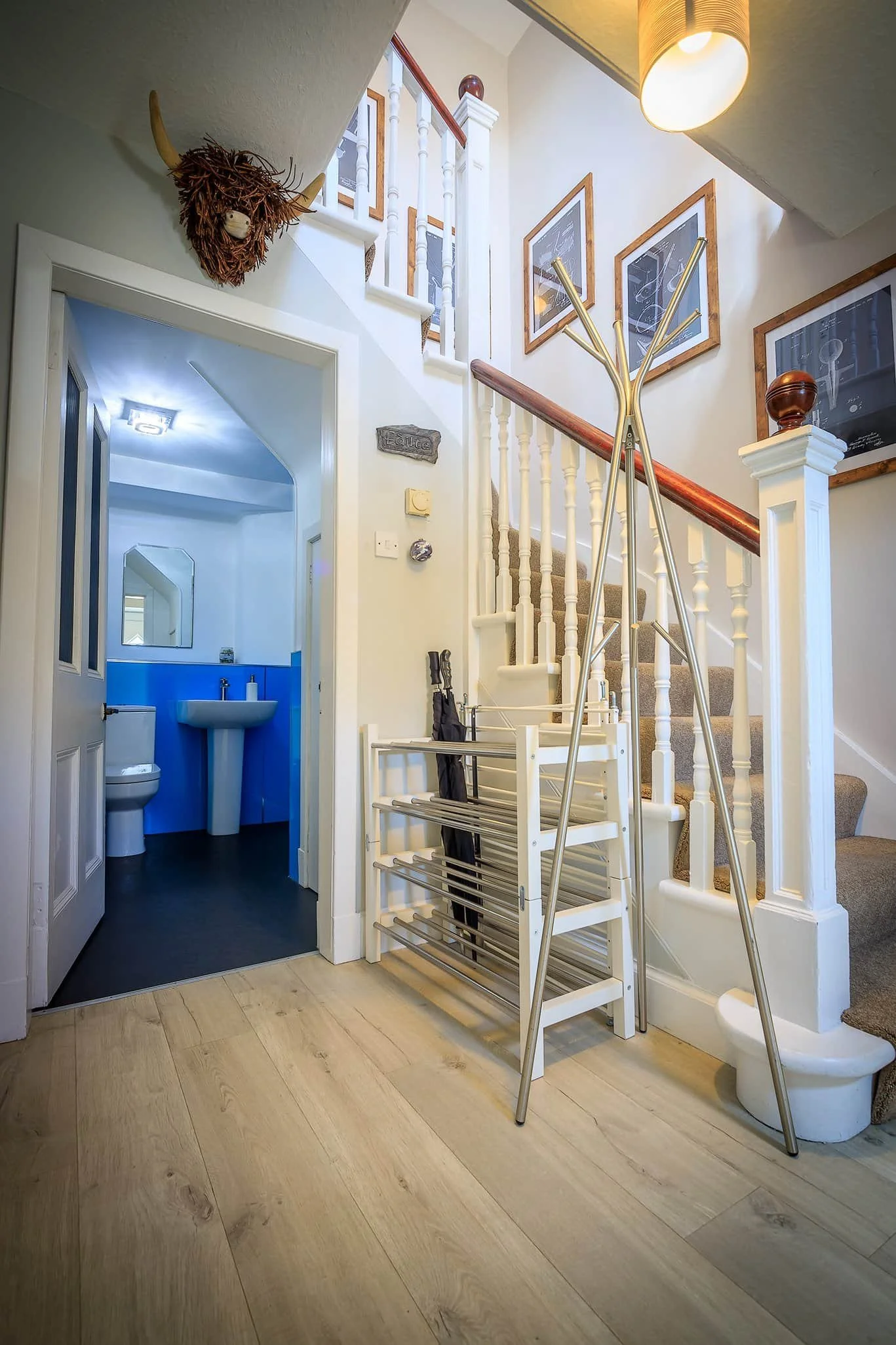 A hallway with a staircase, a small blue bathroom with a mirror and sink, and a modern clothing rack. The staircase has white balusters and a brown handrail. Decor items include a mounted animal head with horns, framed pictures, a wall-mounted wooden