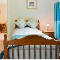 Bedroom with bed, pillows, nightstand, lamp, and window with blue curtains.