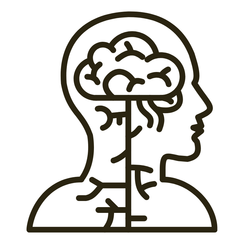 Nervous System Icon