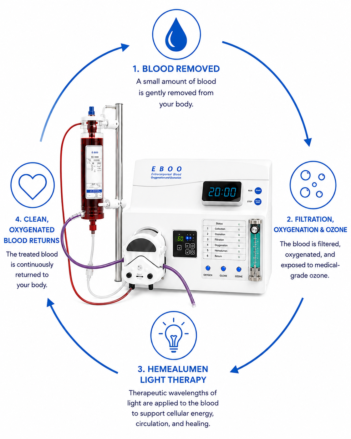 EBOO Process Graphic showing the machine with arrows and explanations of each phase