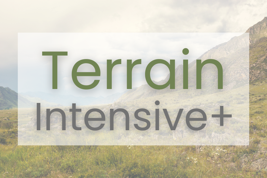 CIOFM Intensive Plus Membership